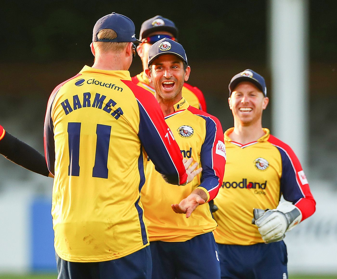 Ryan ten Doeschate celebrates with Simon Harmer