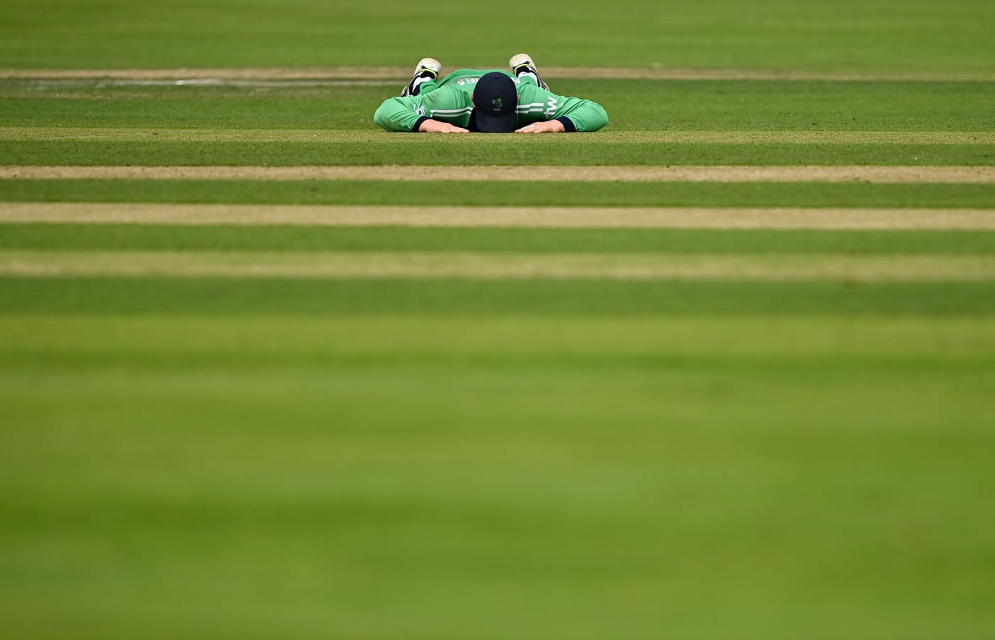 William Porterfield is distraught after a misfield