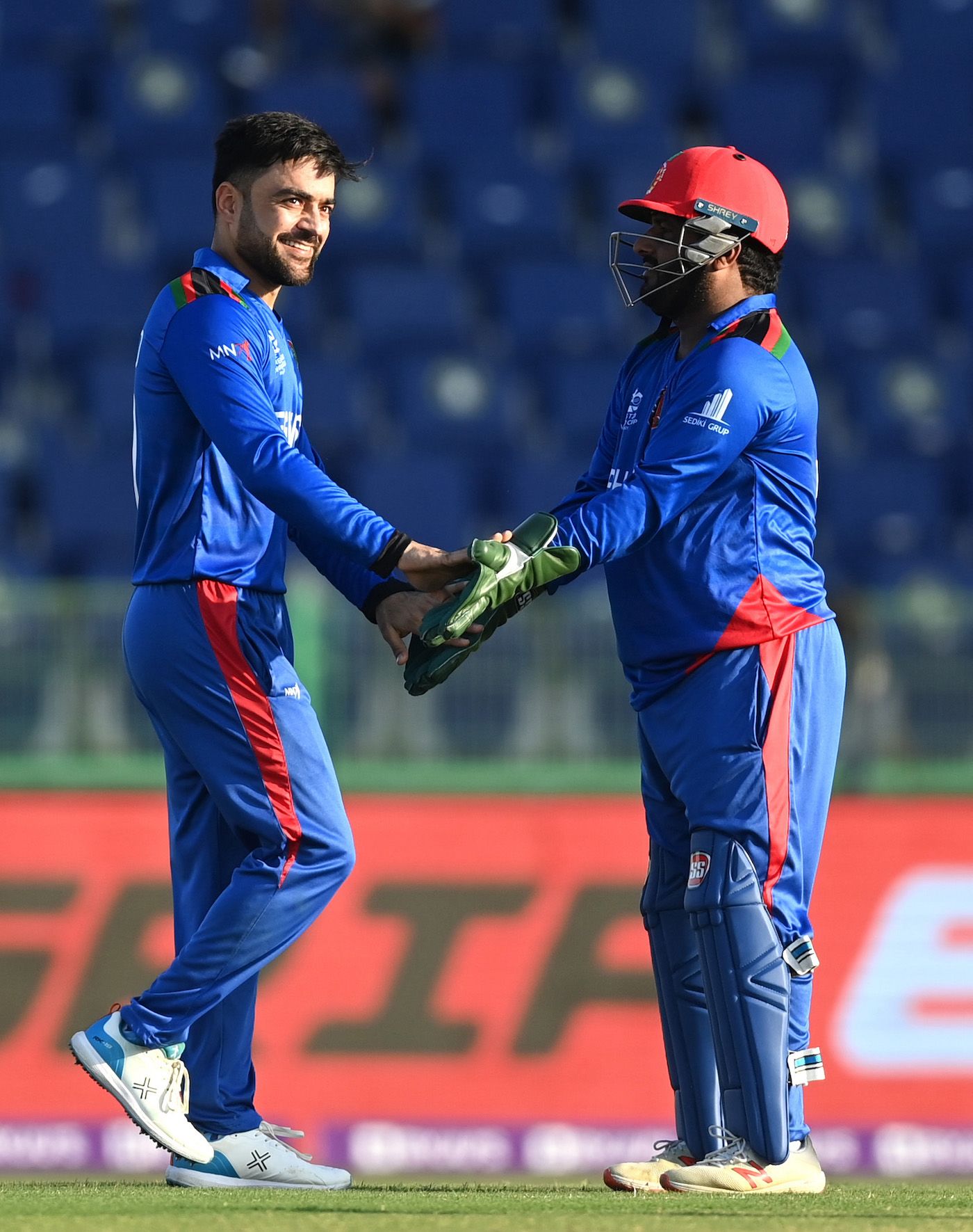 Rashid Khan and Mohammad Shahzad celebrate a wicket