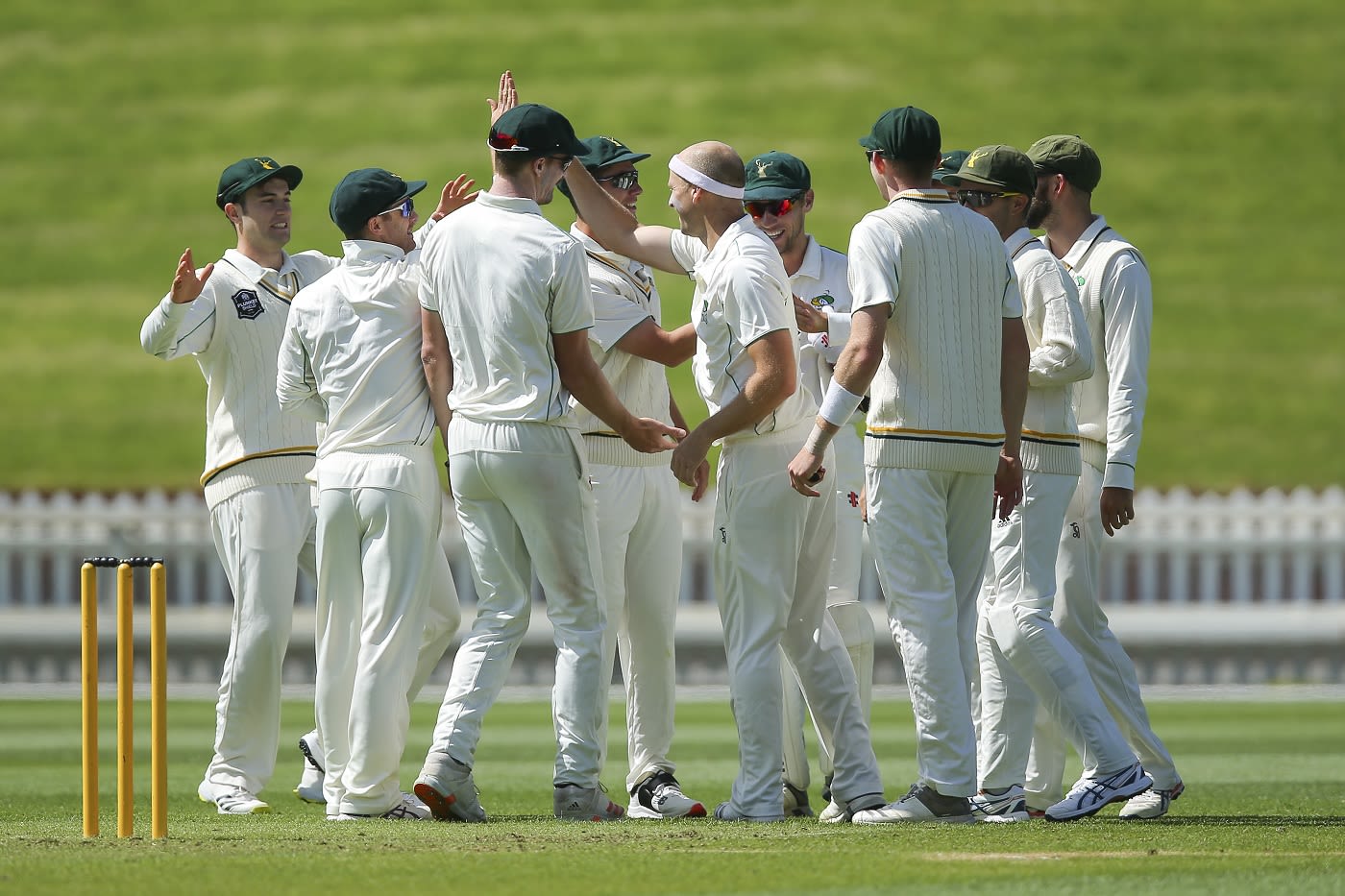Seth Rance celebrates a wicket with his team-mates