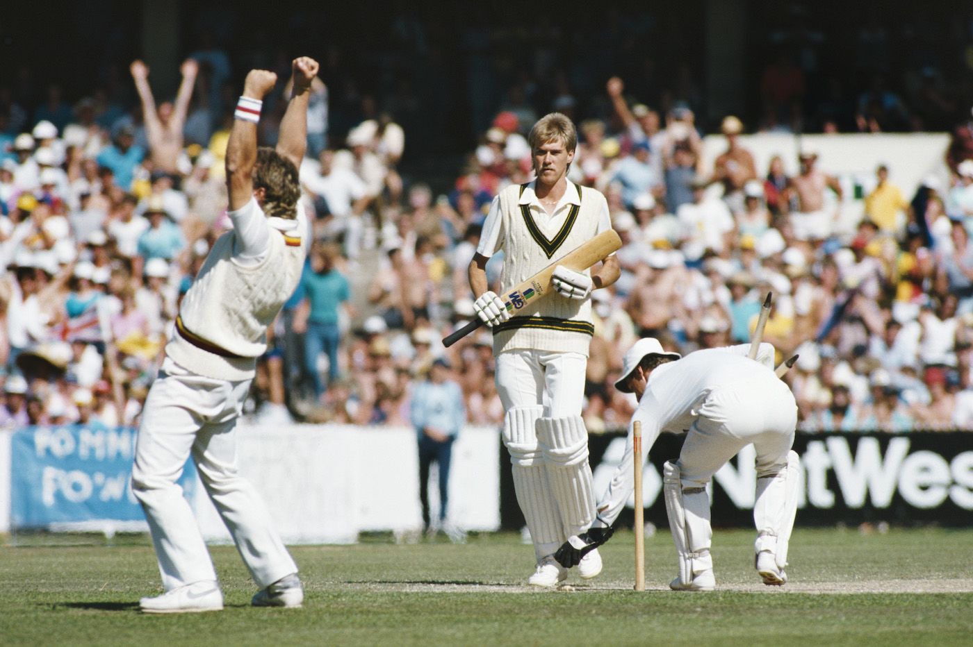 Bruce Reid looks on as Ian Botham and Jack Richards celebrate after Merv Hughes is dismissed
