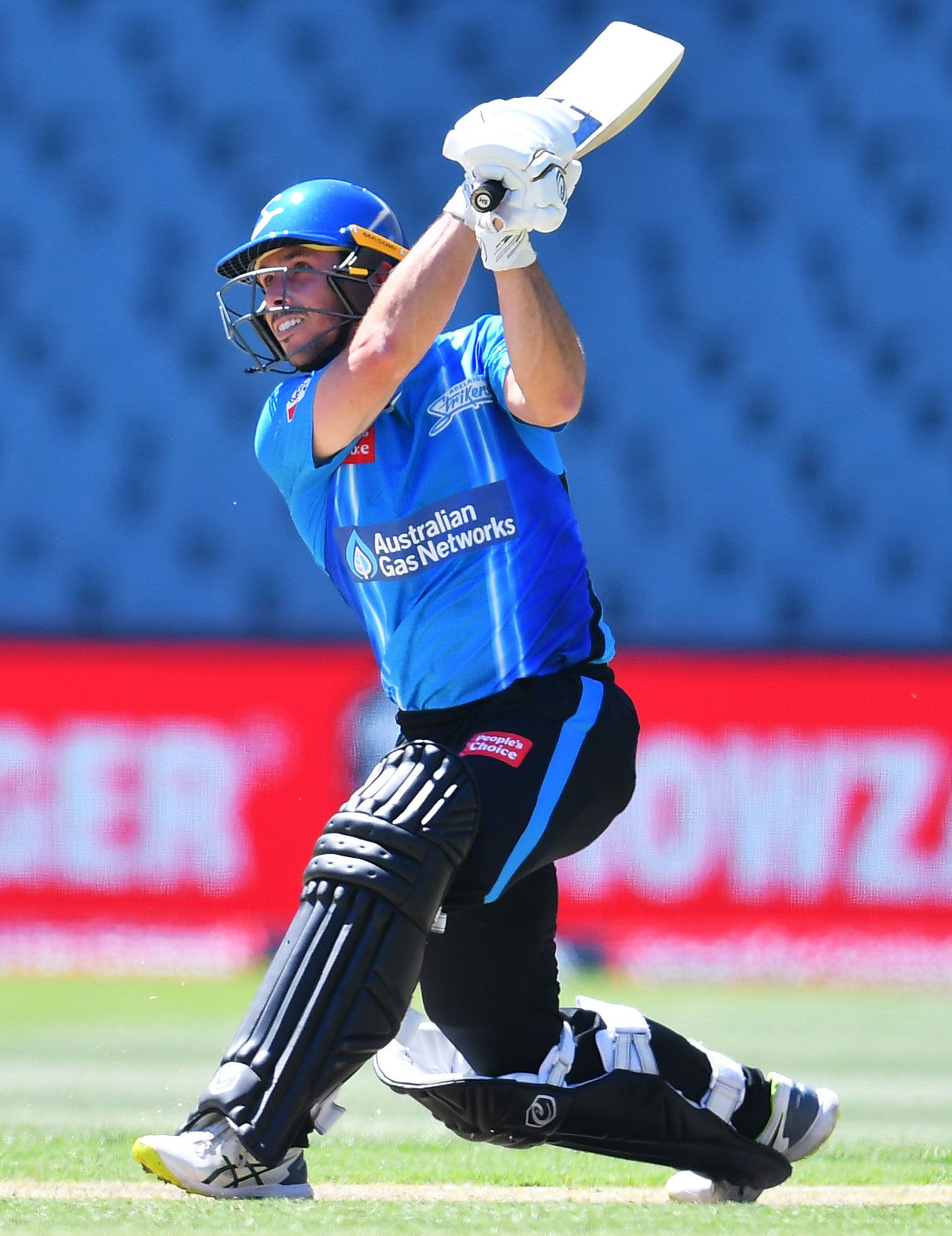 Jono Wells was the key to Adelaide Strikers' innings