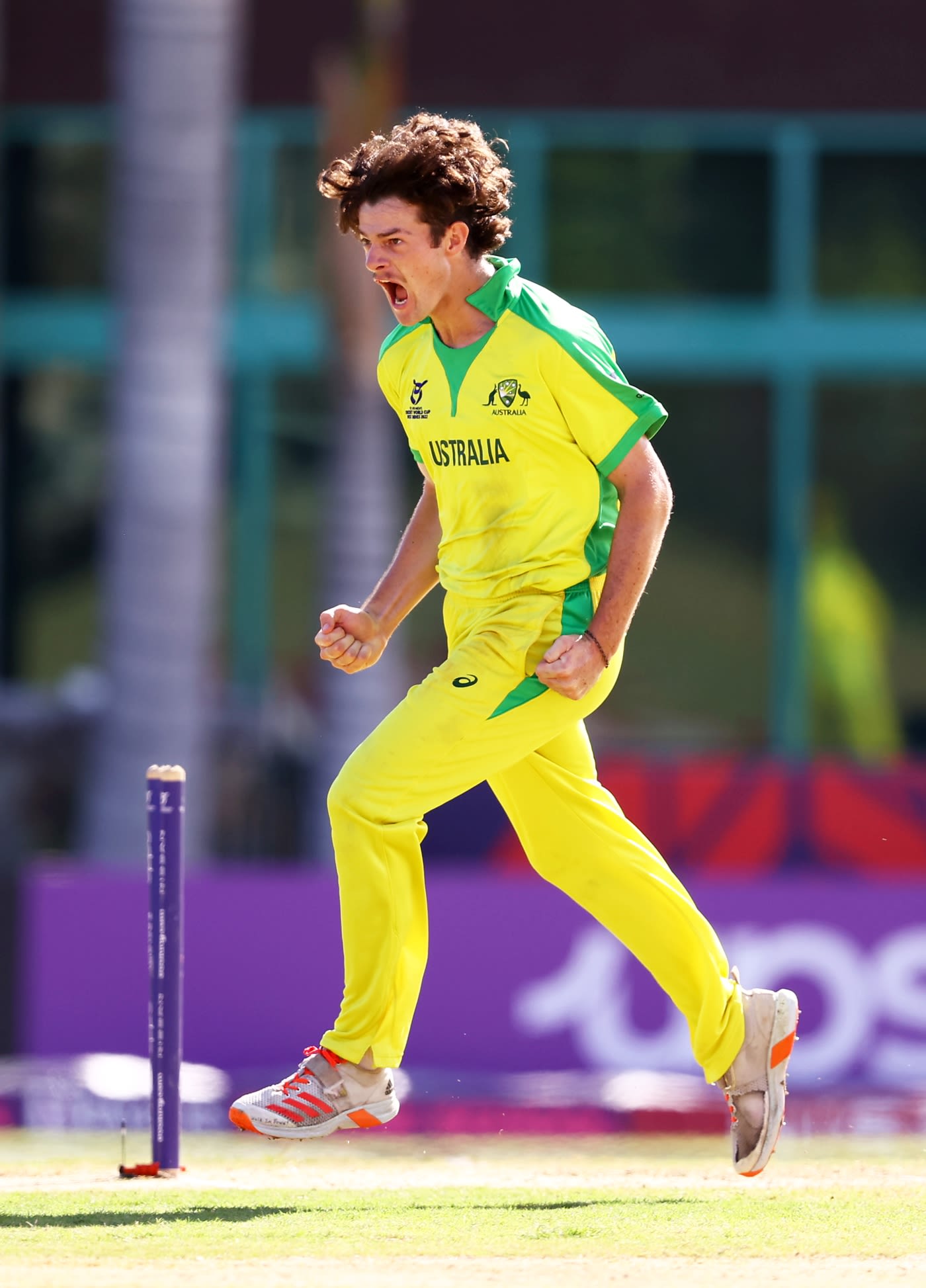 William Salzmann is thrilled after dismissing Angkrish Raghuvanshi