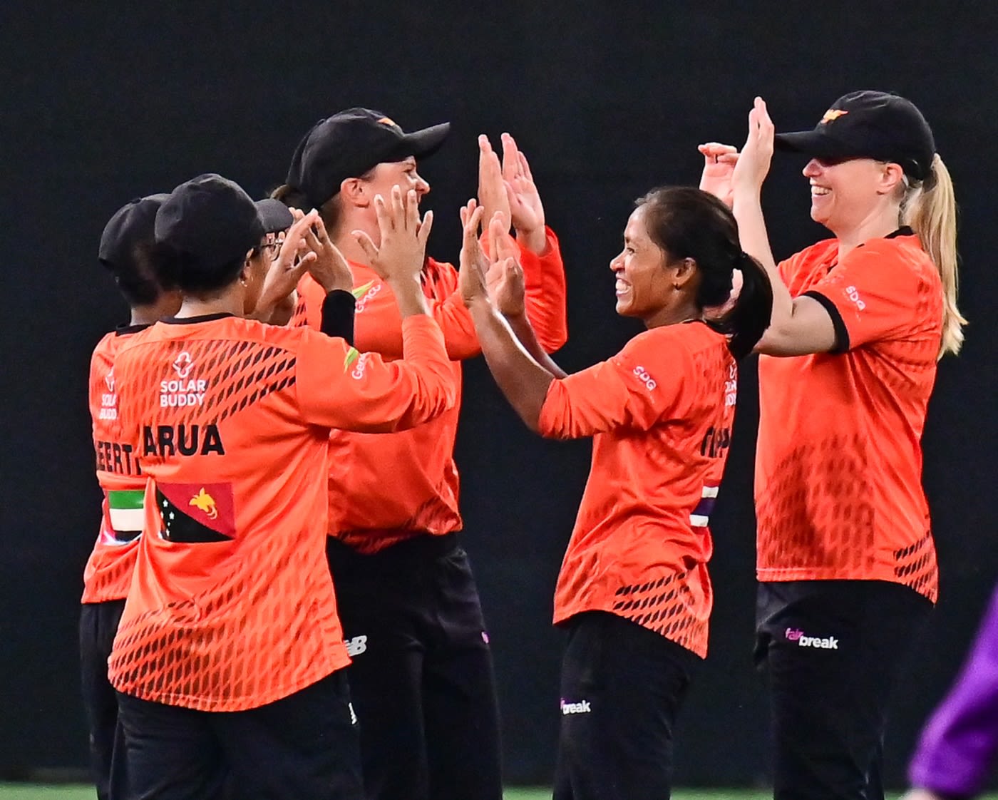 Falcons players celebrate the fall of a wicket against Warriors