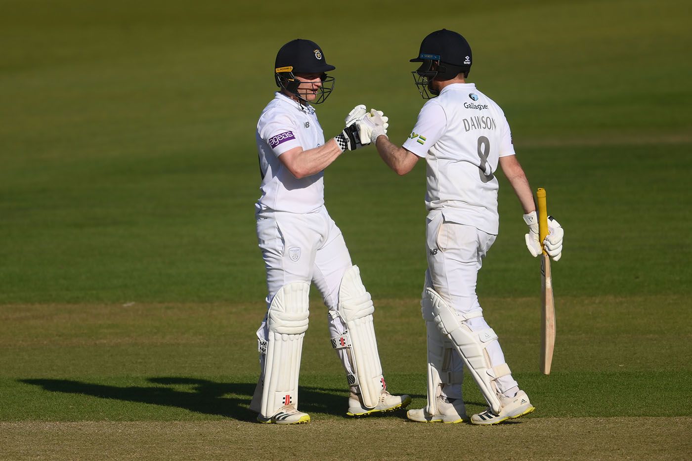 Ben Brown and Liam Dawson share in a 100-run partnership
