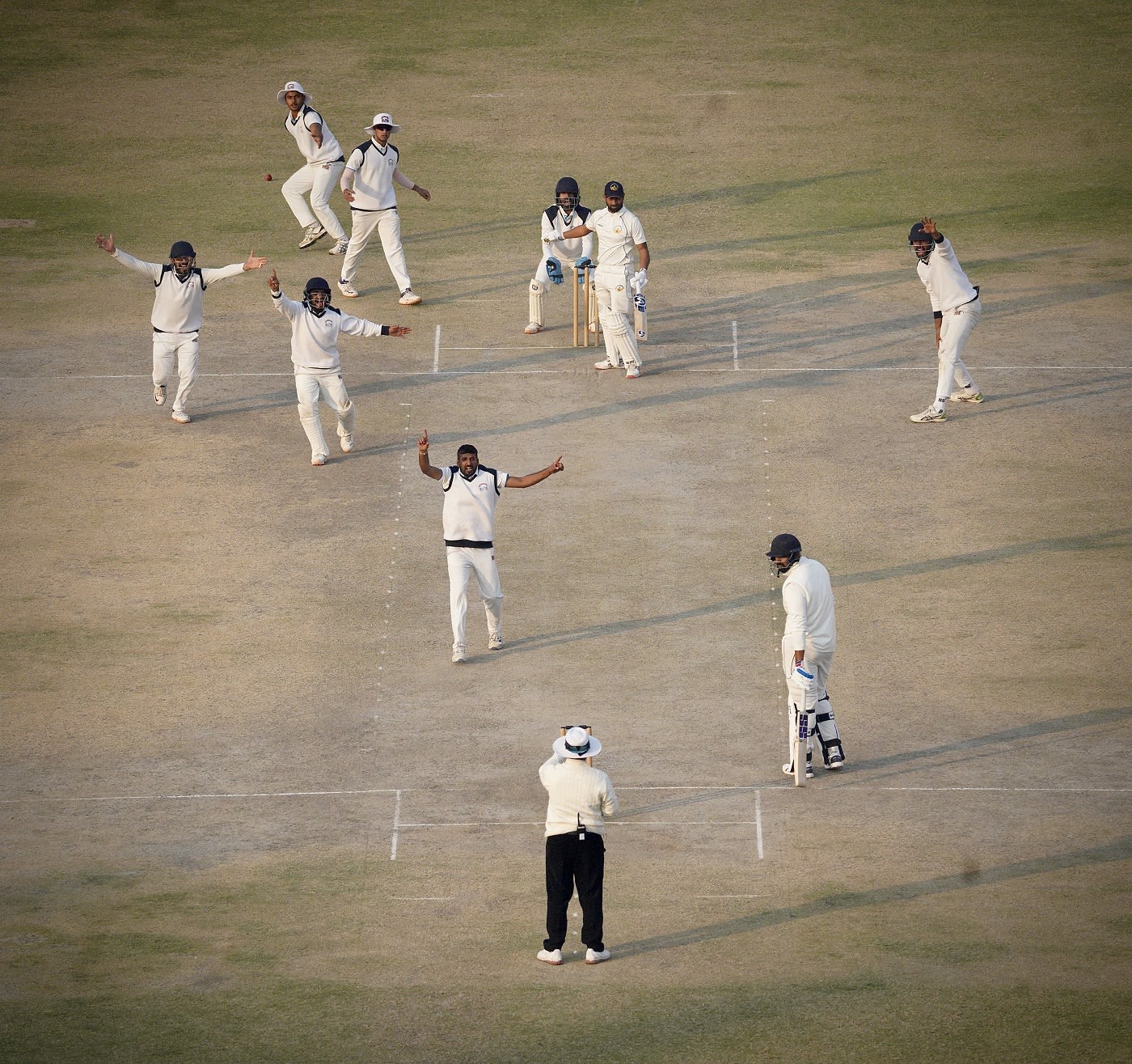 Vinay Choudhary traps Ankit Kaushik lbw