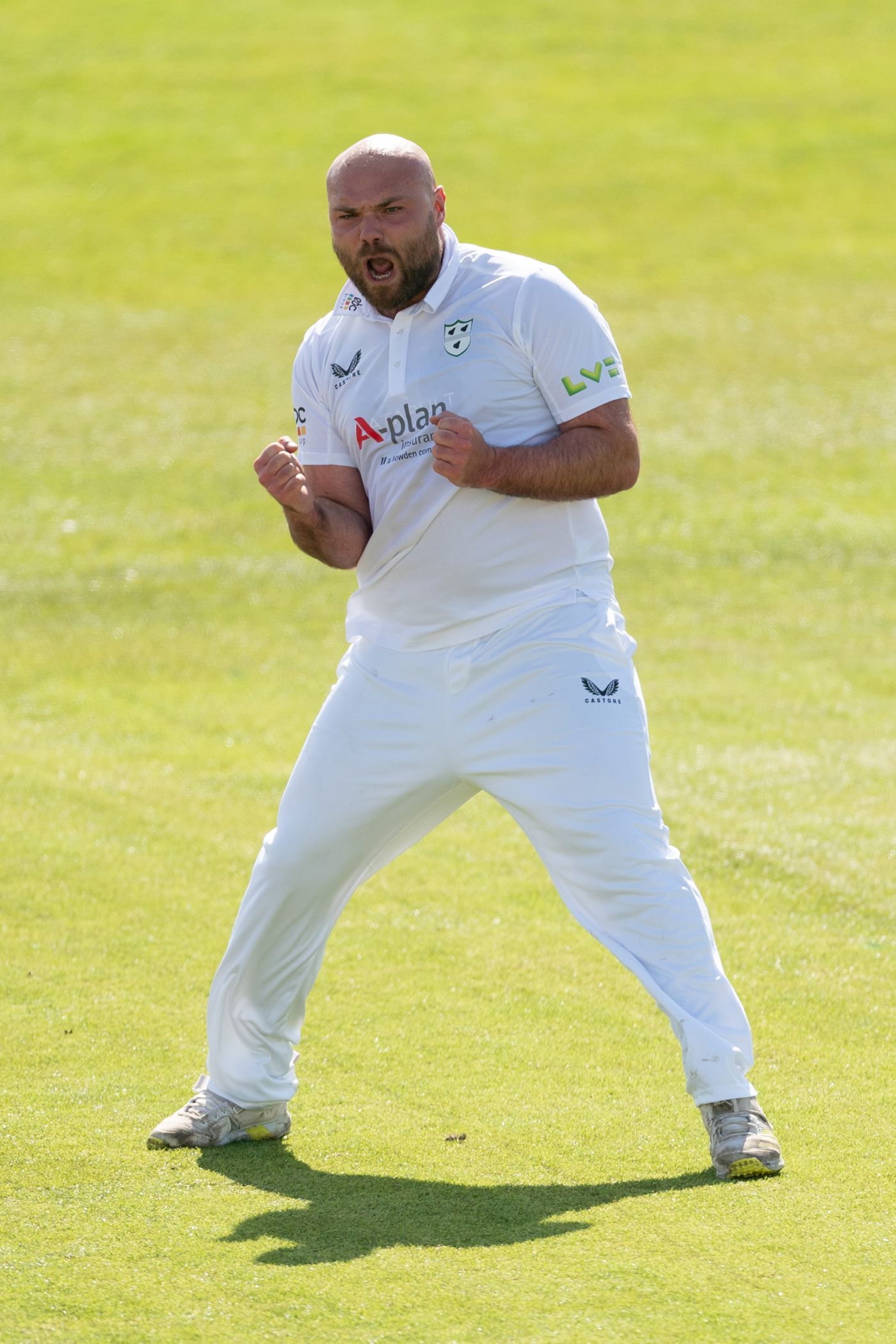 Joe Leach celebrates a wicket