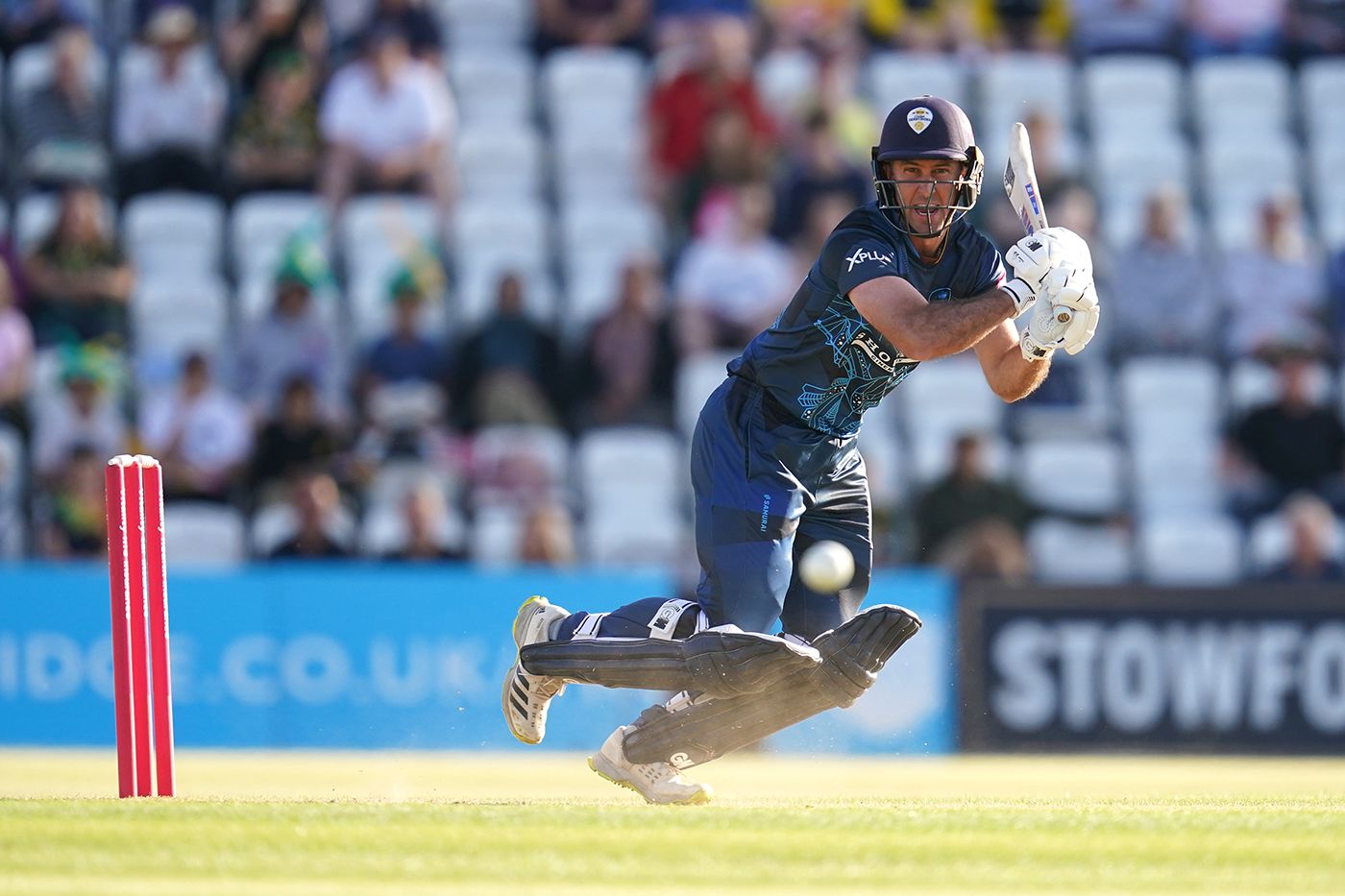 Wayne Madsen top-scored with 61 for Derbyshire