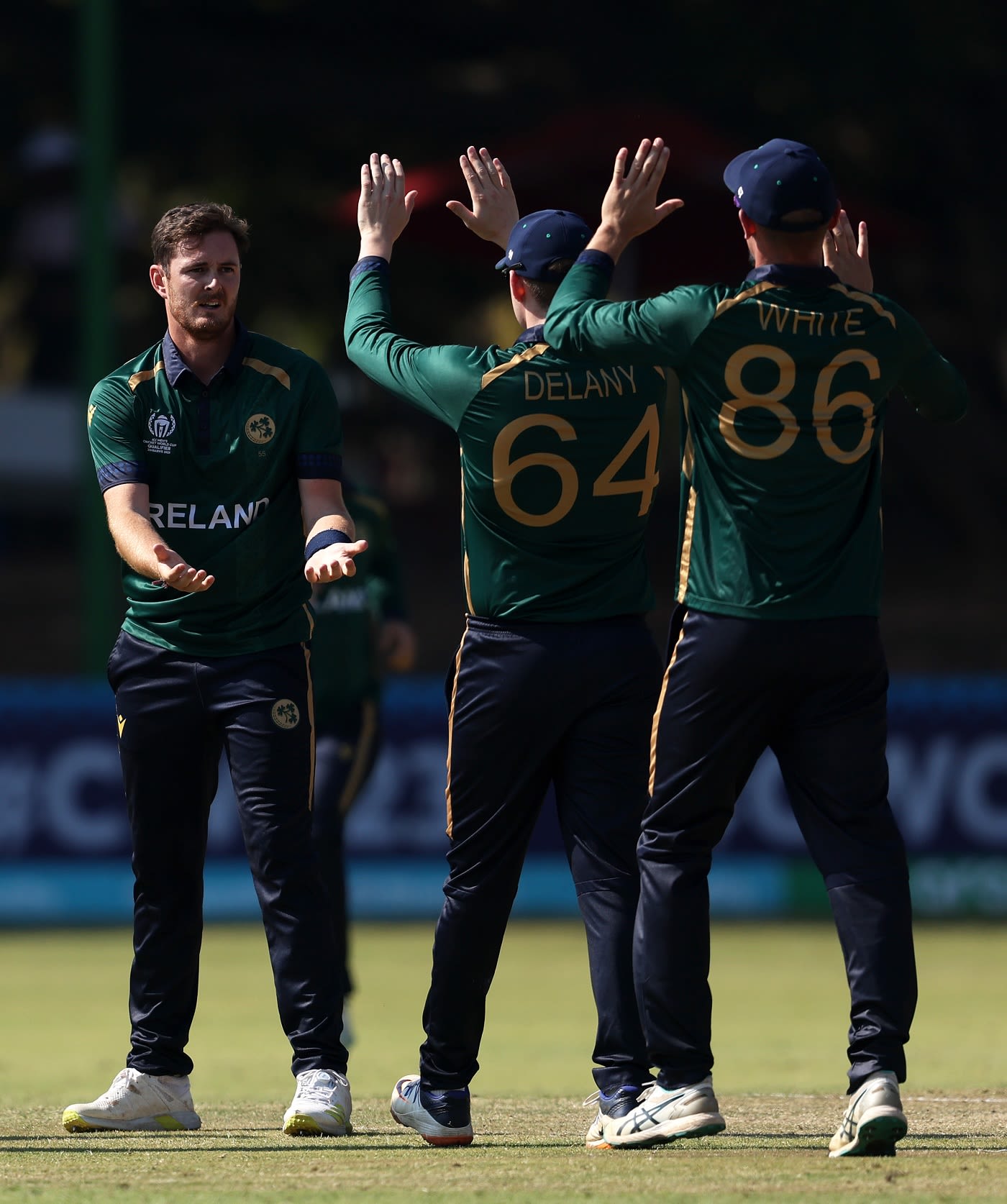 Mark Adair struck in his first over, sending back Matthew Cross