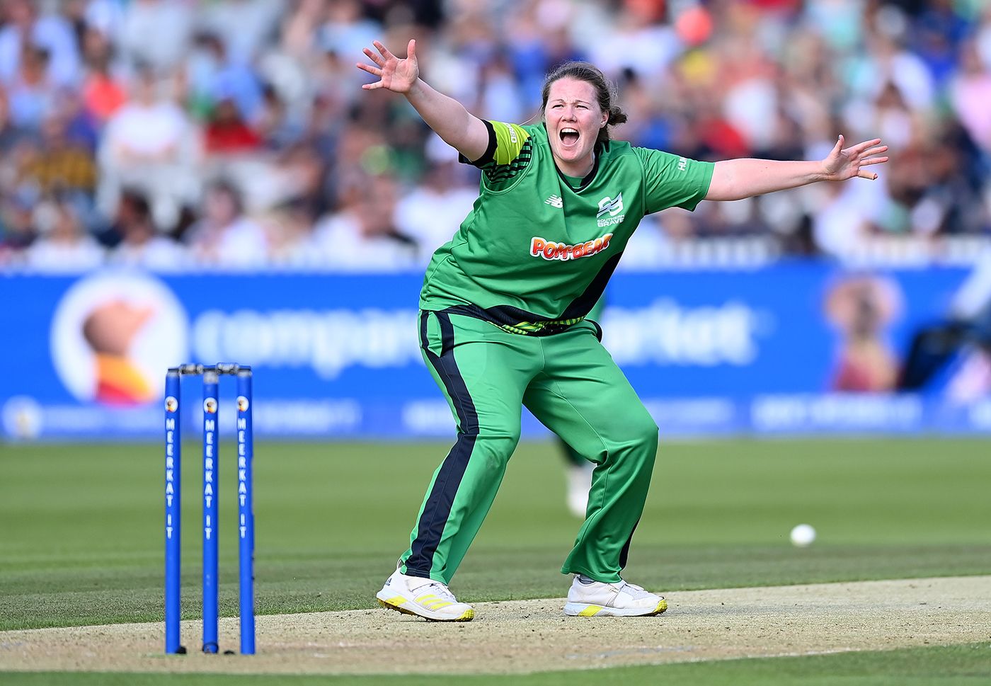 Anya Shrubsole picked up a wicket in her final professional appearance