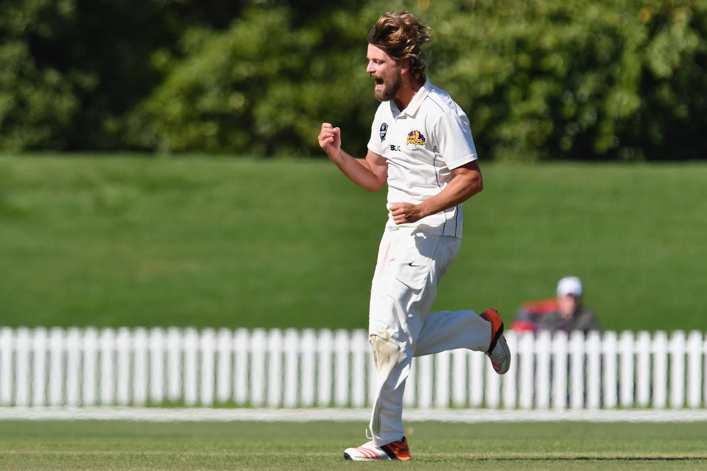 Sam Wells celebrates the wicket of Chad Bowes