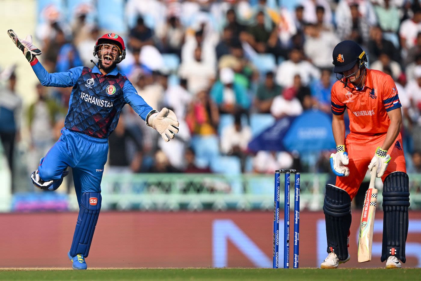 Ikram Alikhil is over the moon after taking a sharp catch to send back Bas de Leede