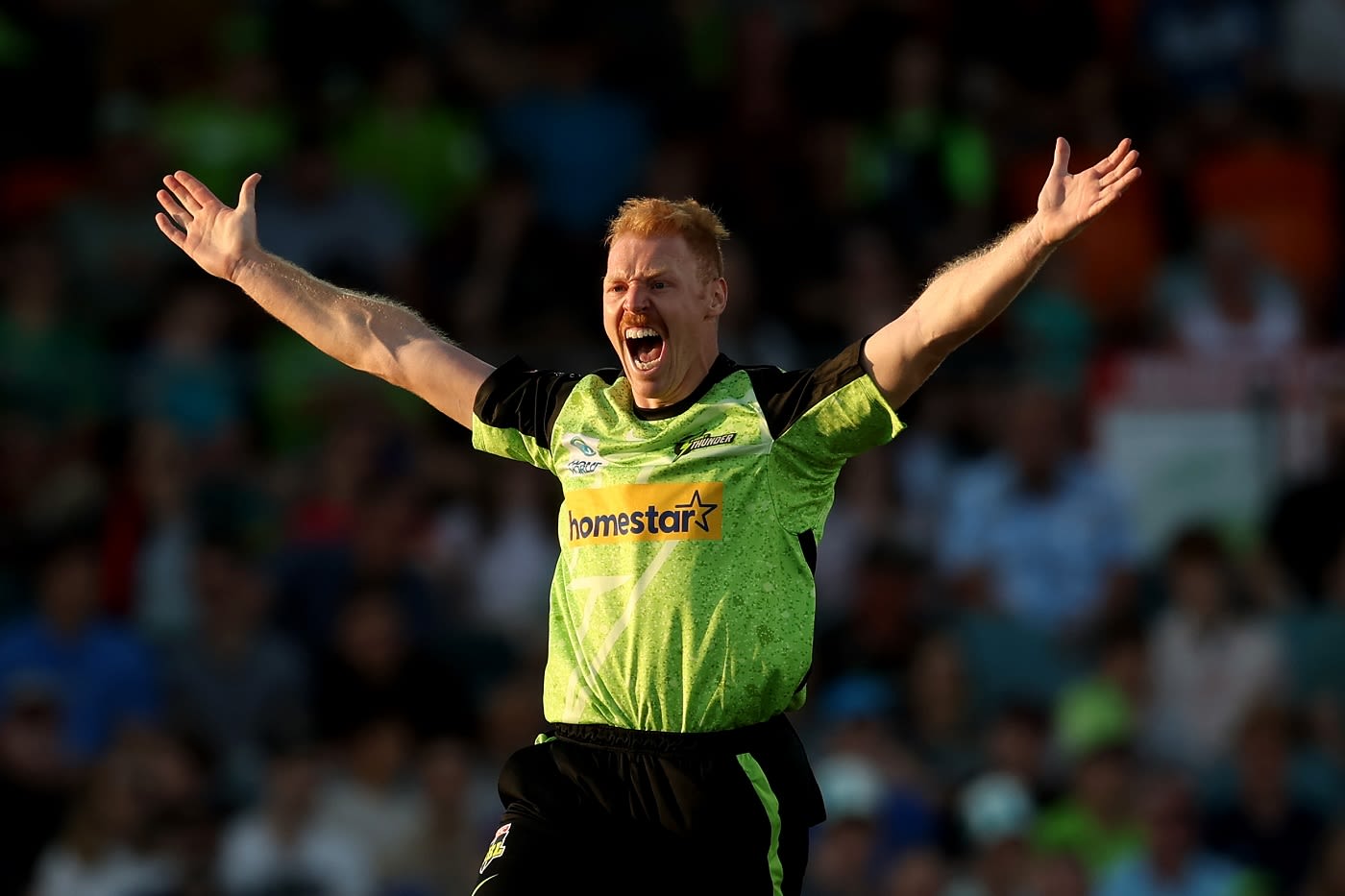 Liam Hatcher celebrates the wicket of Josh Brown