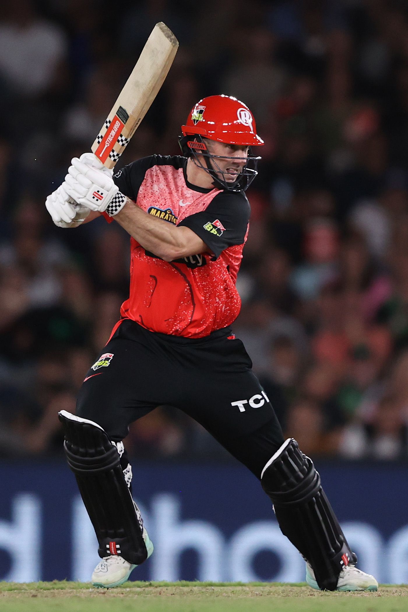Shaun Marsh was solid at the top for Renegades
