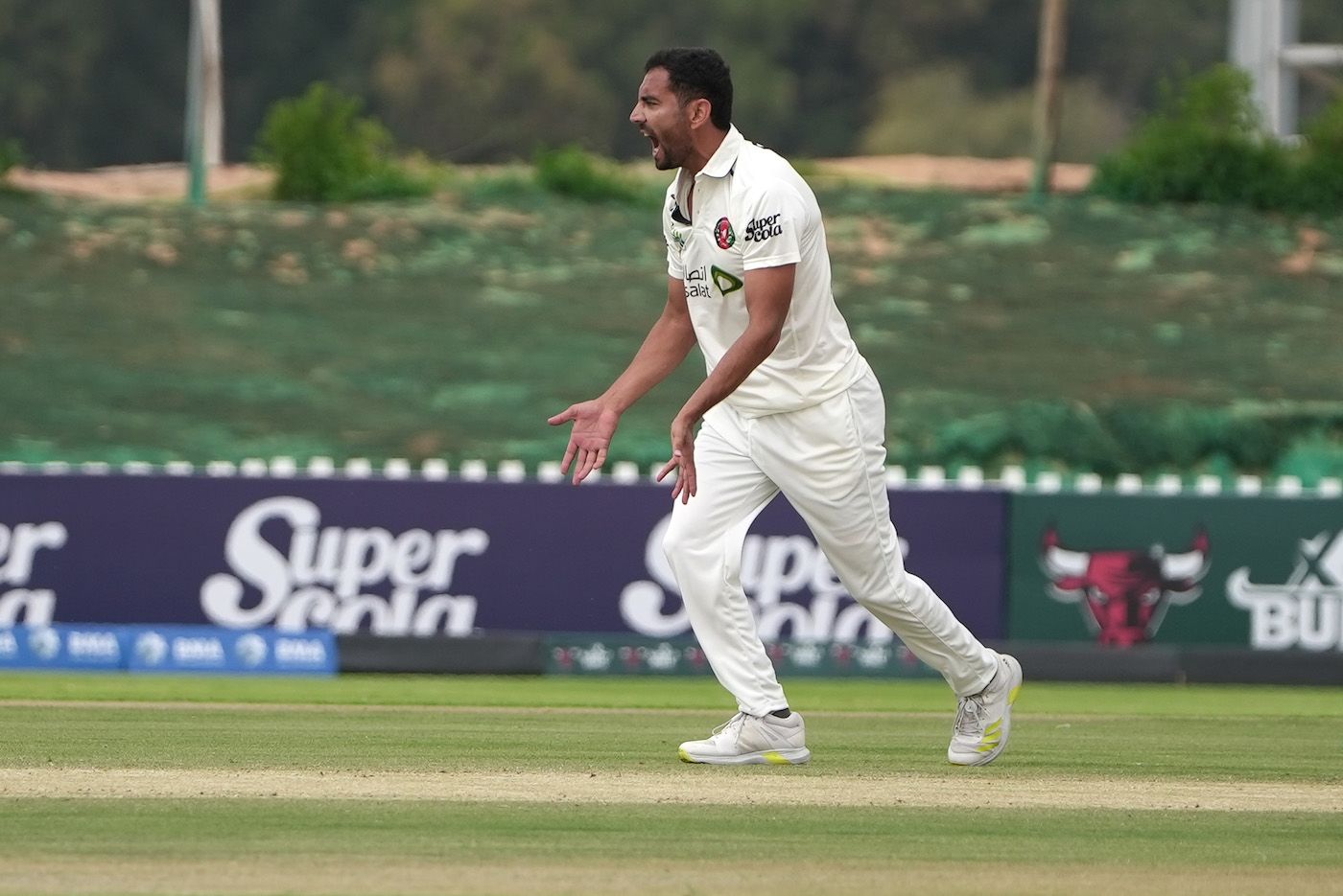 Nijat Masood appeals for a wicket