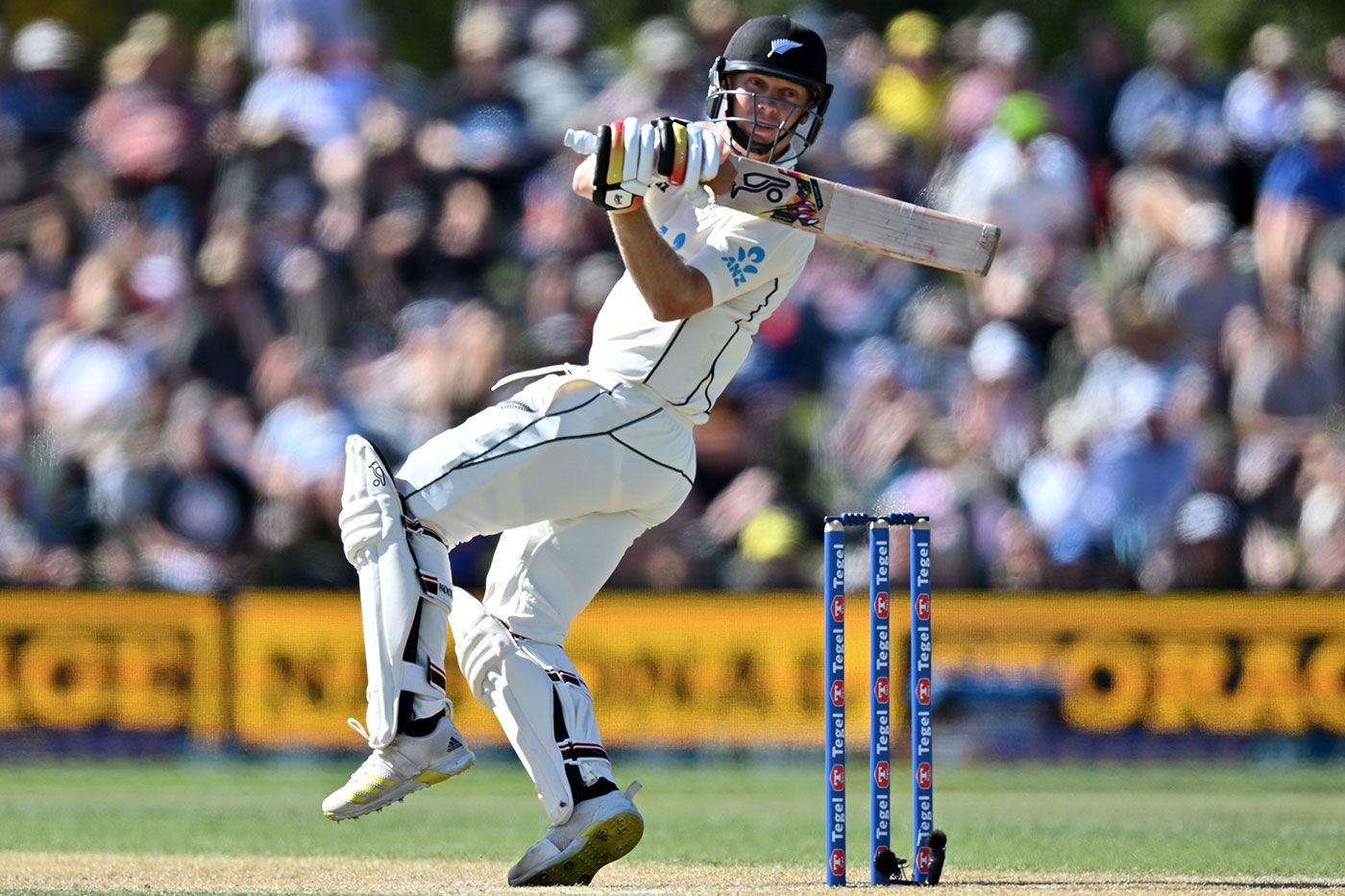 Scott Kuggeleijn made important runs down the order