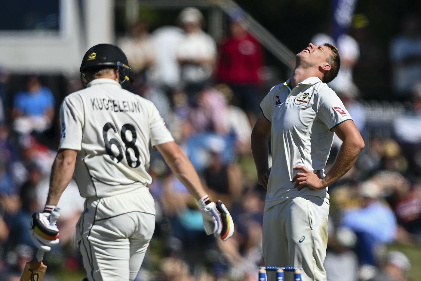 Scott Kuggeleijn was dropped off Cameron Green's bowling