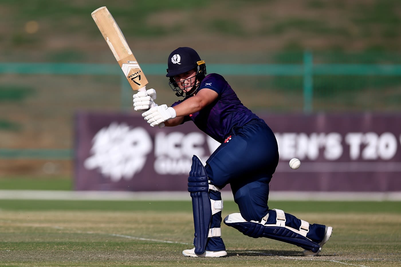 Megan McColl scored 50 off 47 opening the batting