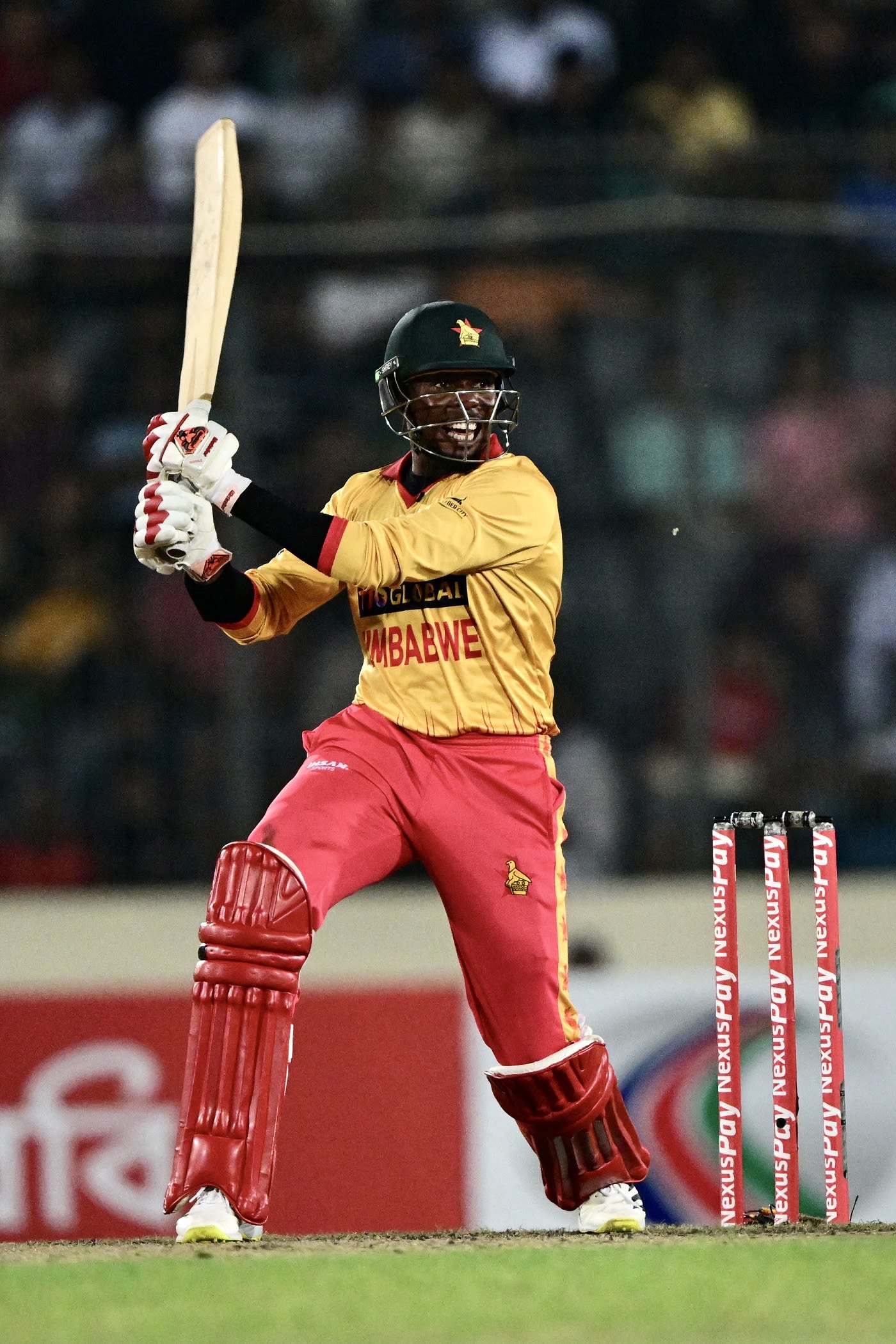 Wellington Masakadza's cameo of 19* from eight balls went in vain