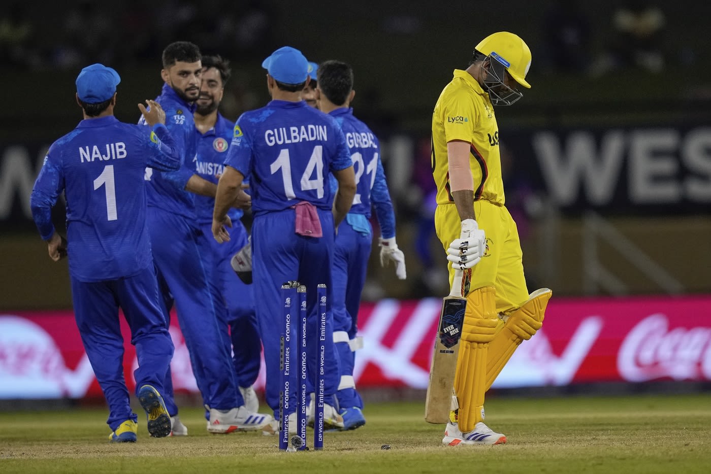 The Afghanistan players congratulate Naveen-ul-Haq for dismissing Dinesh Nakrani