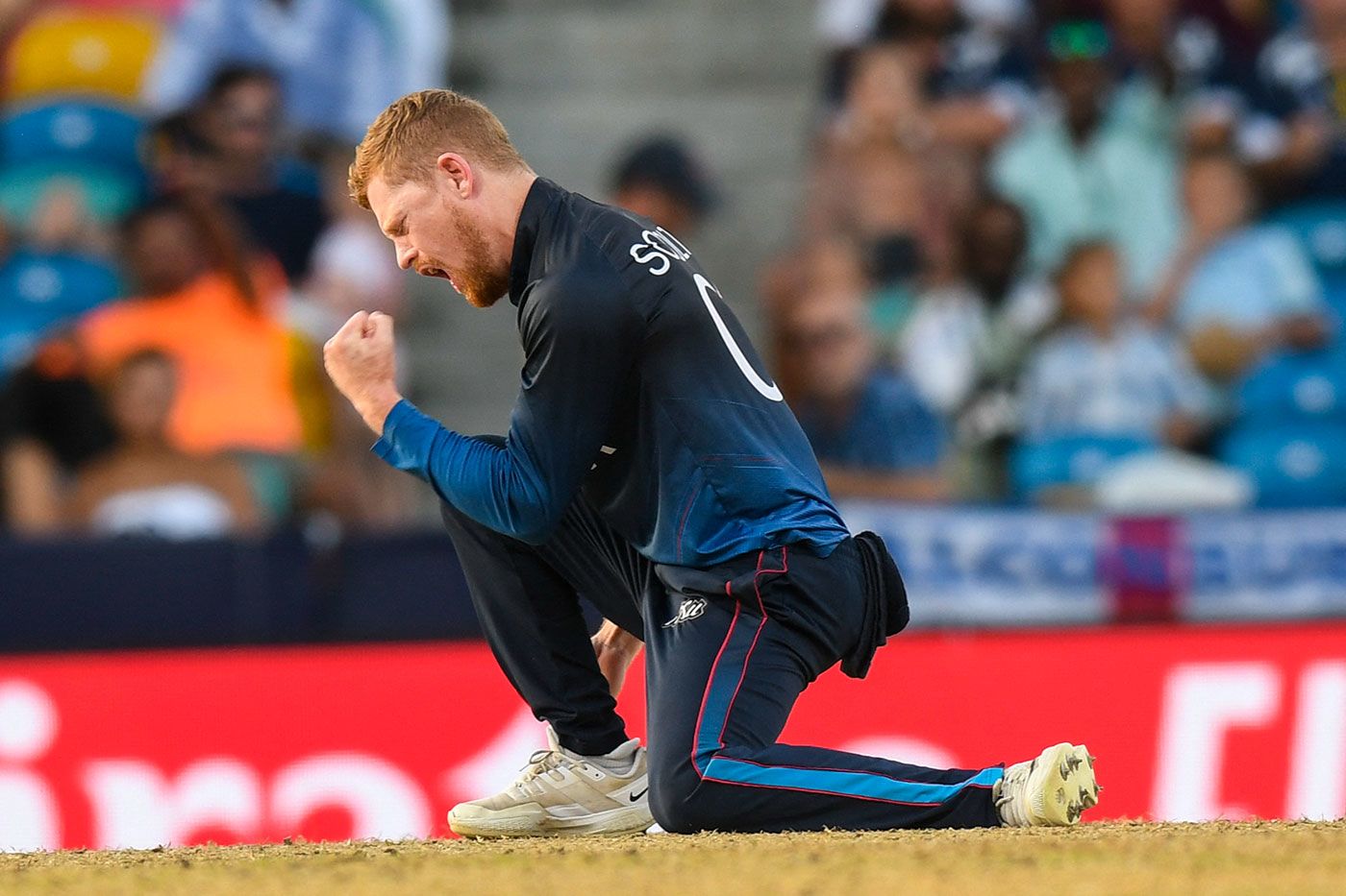 Bernard Scholtz celebrates the wicket of Matthew Cross