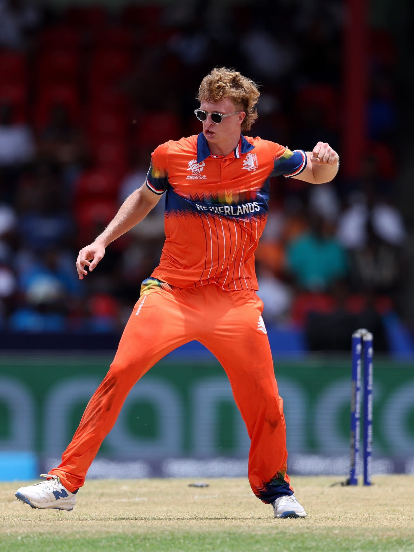 Tim Pringle dismissed the dangerous Towhid Hridoy