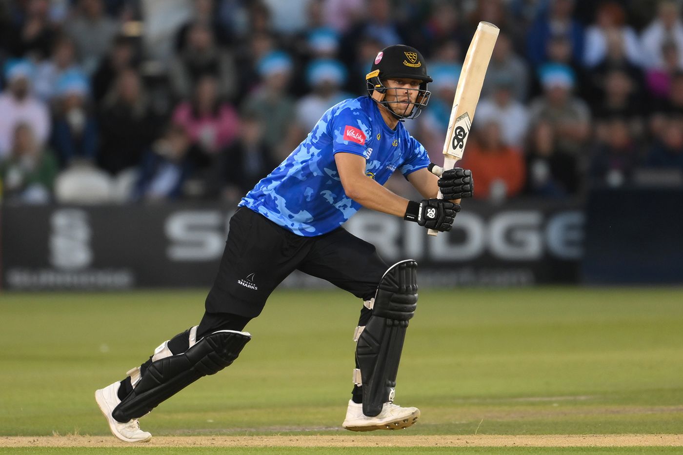 Harrison Ward helps blast Sussex to victory