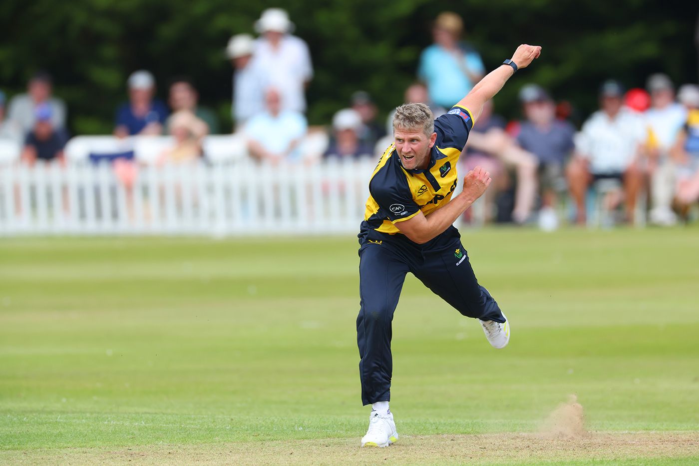 Timm van der Gugten nags away for Glamorgan