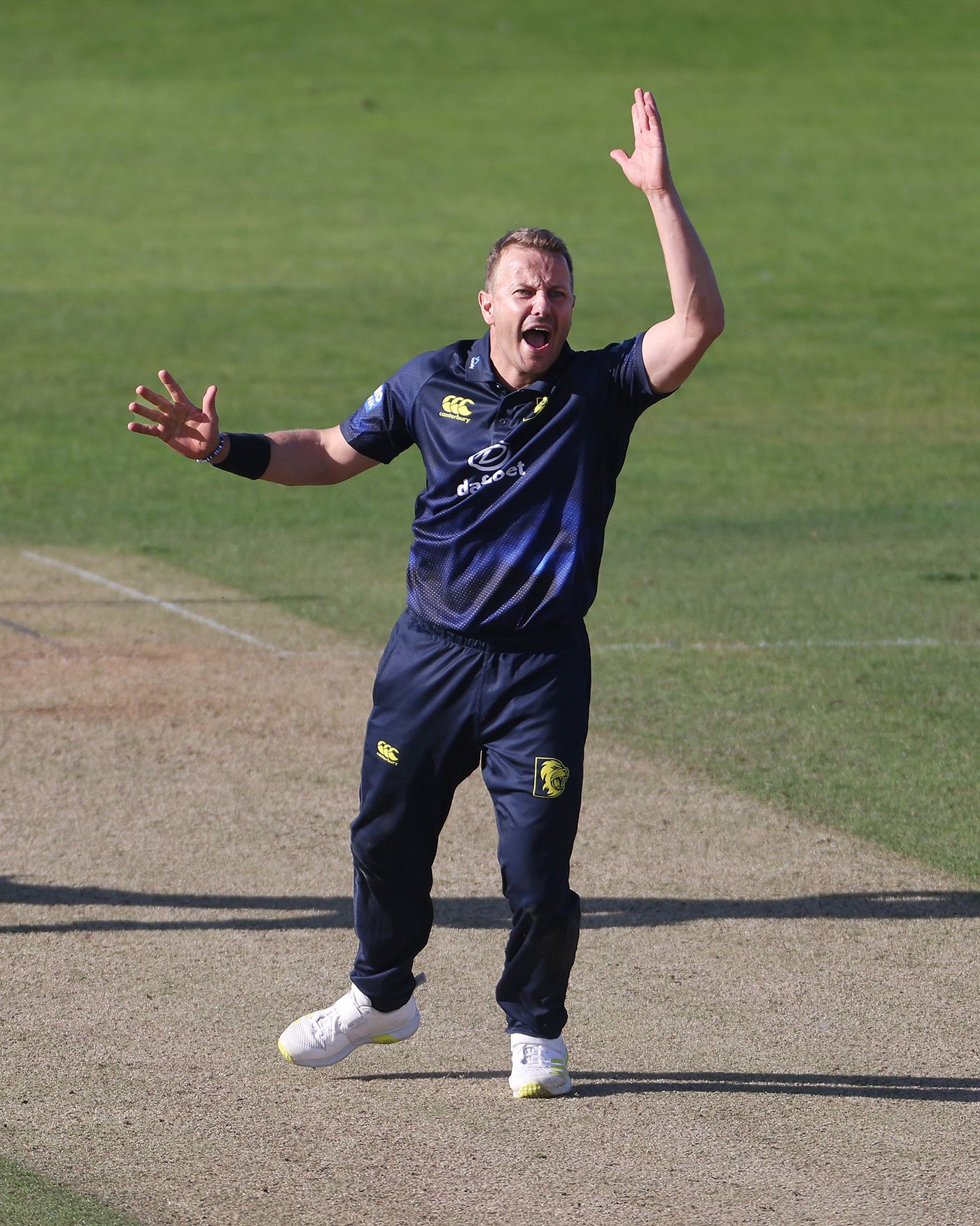 Neil Wagner appeals for a wicket