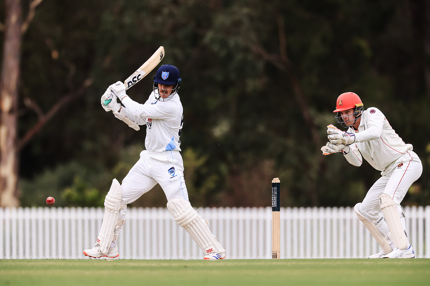 Nic Maddinson made 12