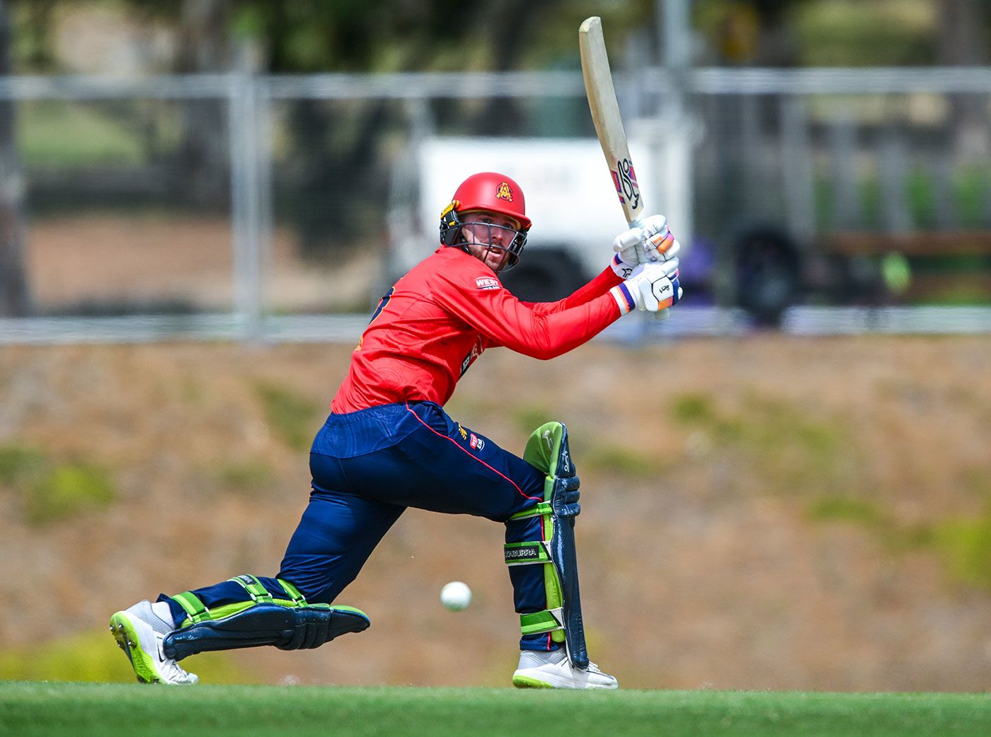 Mackenzie Harvey struck his maiden one-day hundred