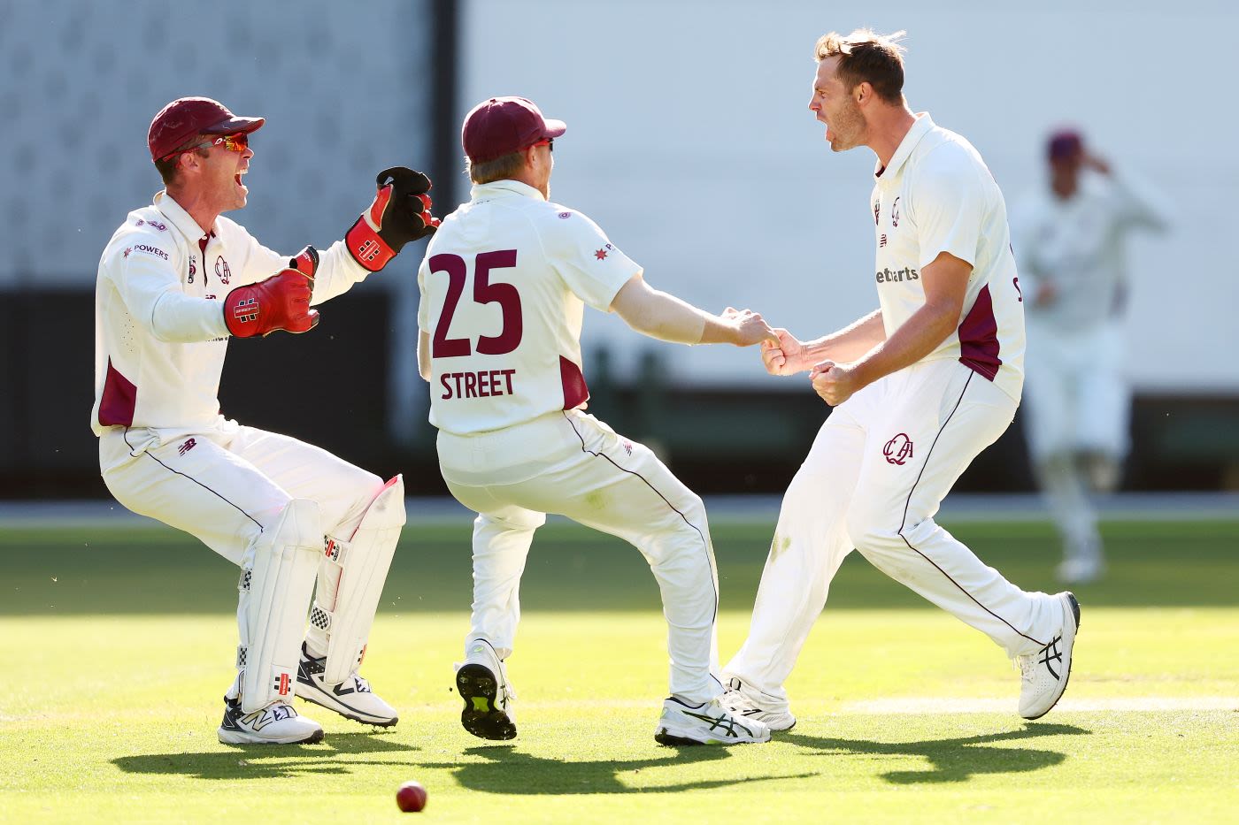 Mark Steketee celebrates the winning wicket
