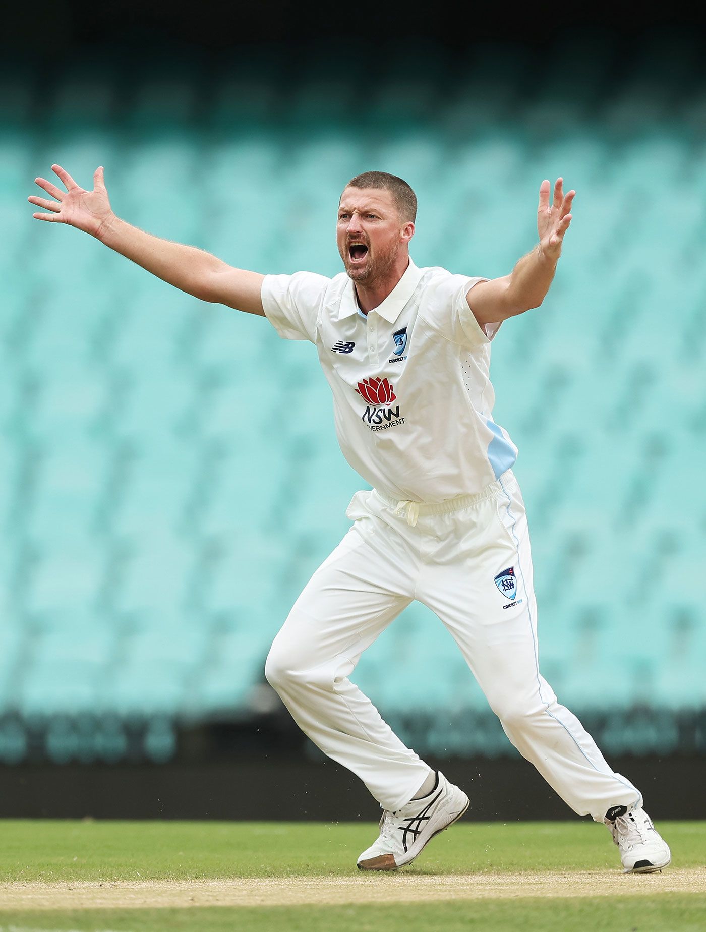 Jackson Bird claimed his 400th Sheffield Shield wicket