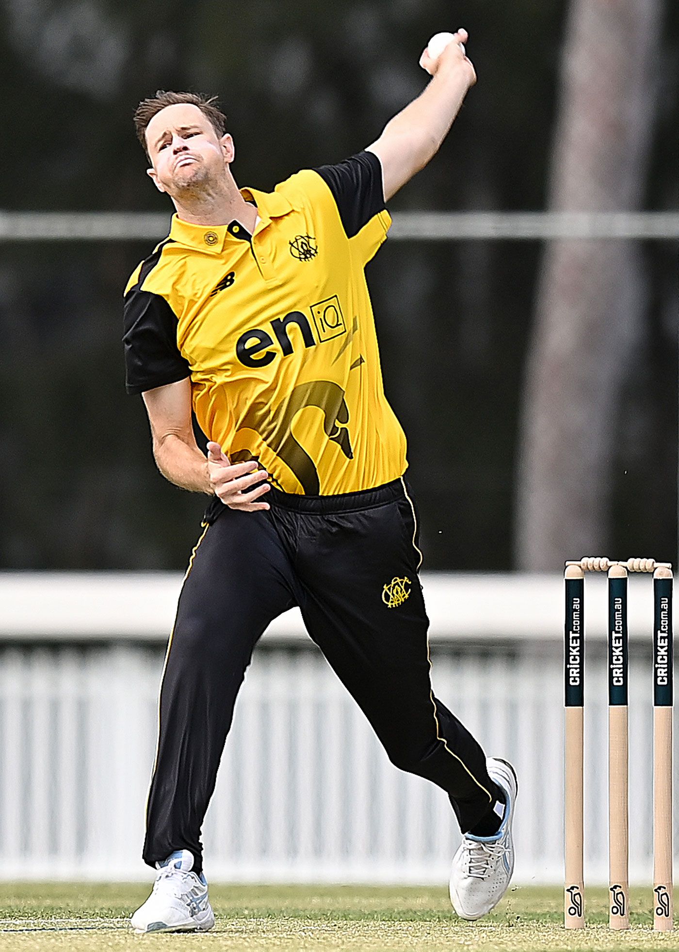 Jason Behrendorff built an impressive domestic career amid battles with injury