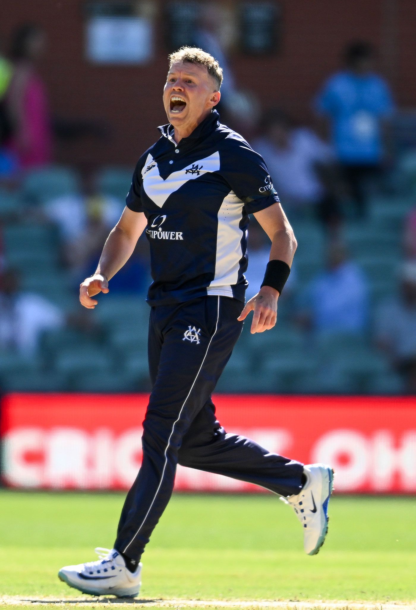 Peter Siddle bowled superbly in what will likely be his last one-day game