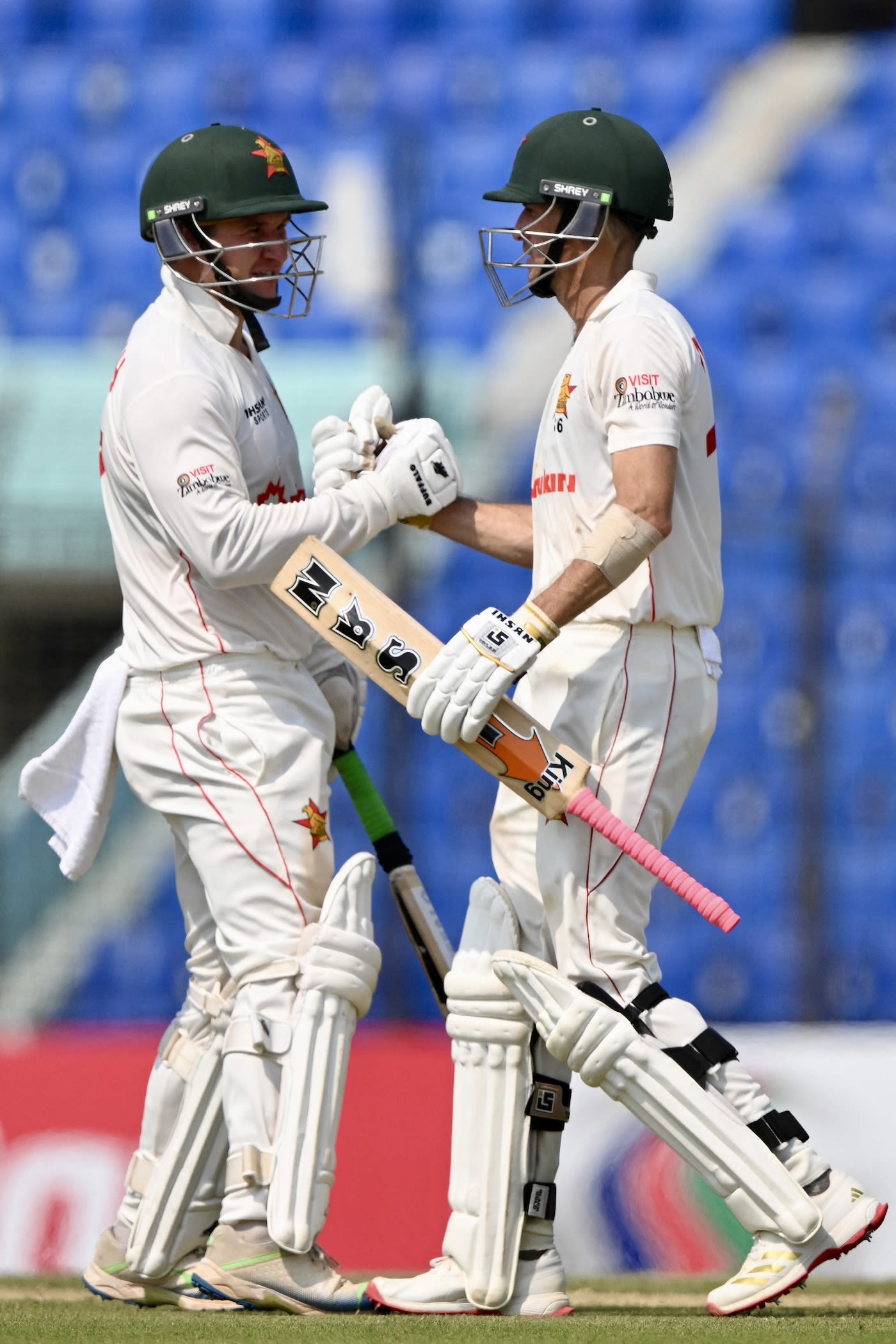 Nick Welch and Sean Williams put together a solid partnership for the third wicket