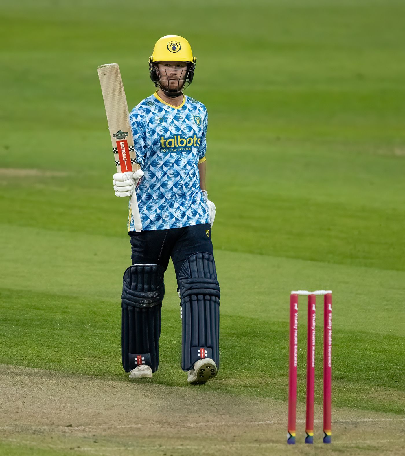 Alex Davies' half-century led the way for Bears