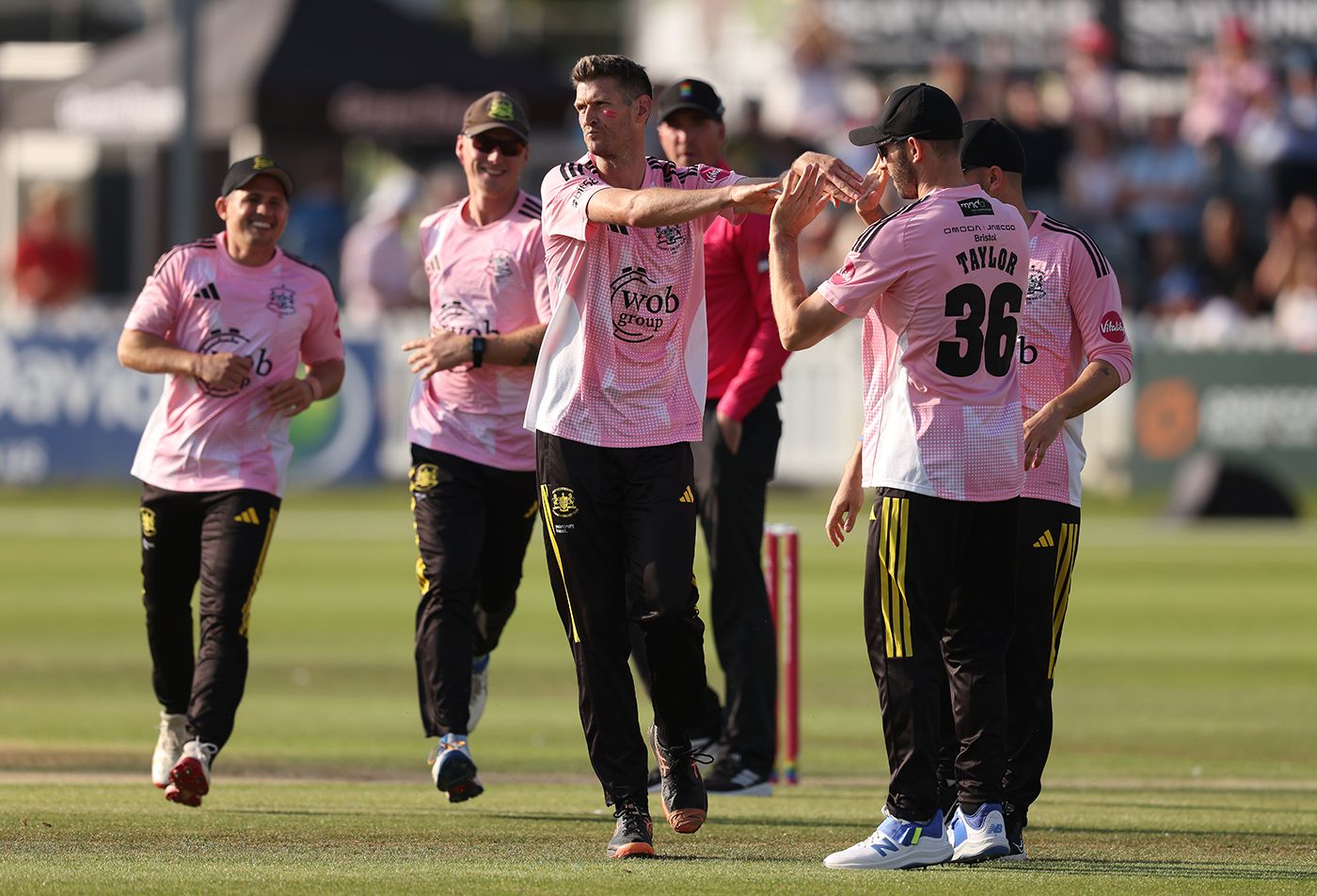 David Payne ripped apart the Hampshire top order