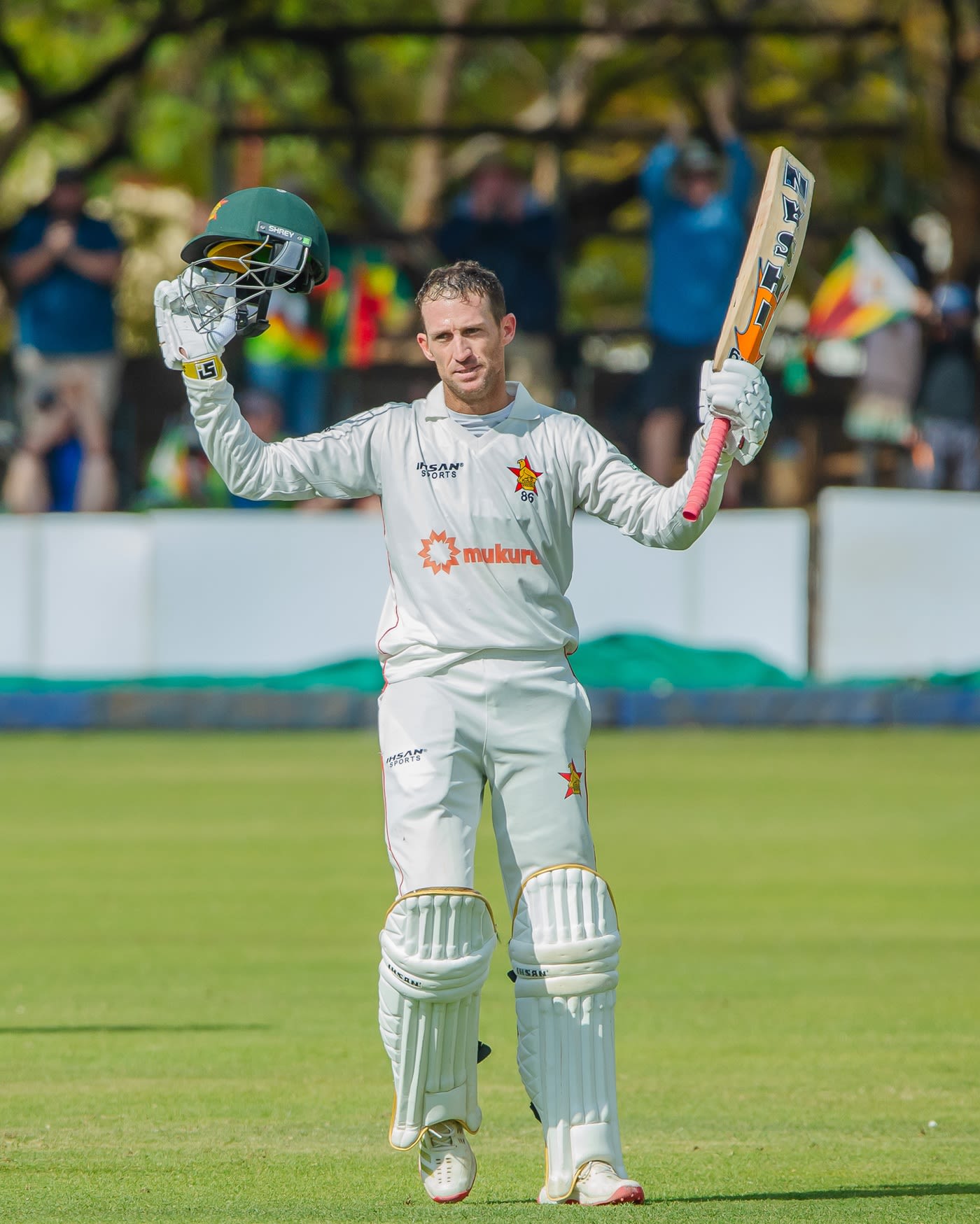 Sean Williams hit his sixth Test hundred