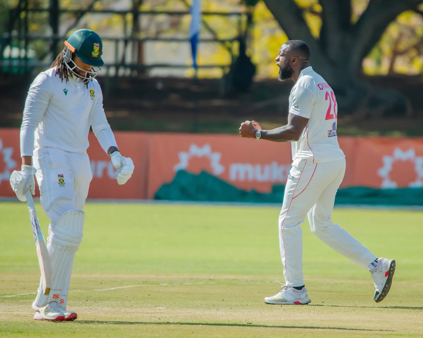 Tanaka Chivanga took down Tony de Zorzi