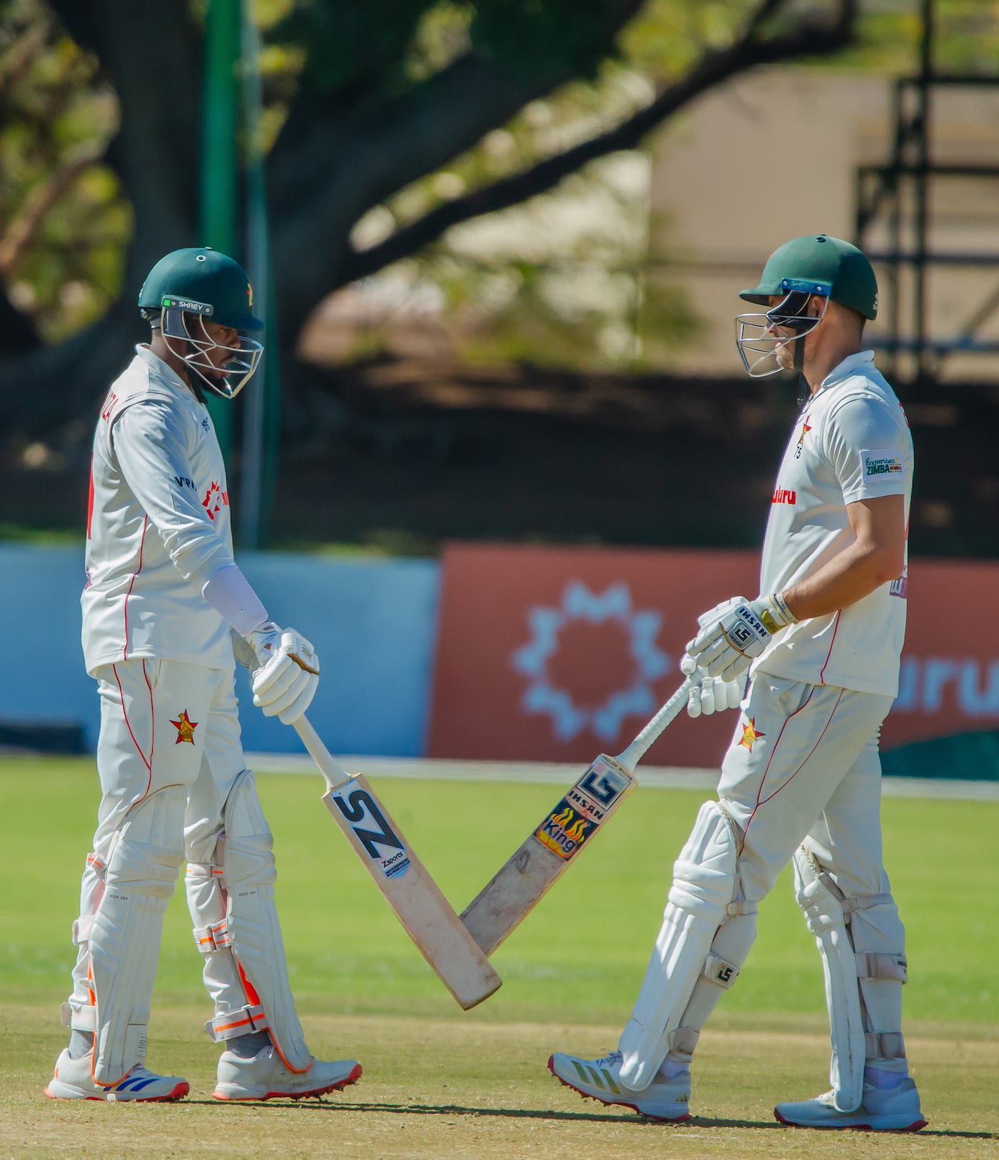 Wellington Masakadza and Craig Ervine put up a half-century stand