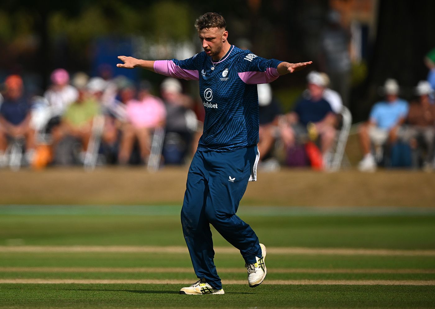 Luke Hollman claimed career-best figures
