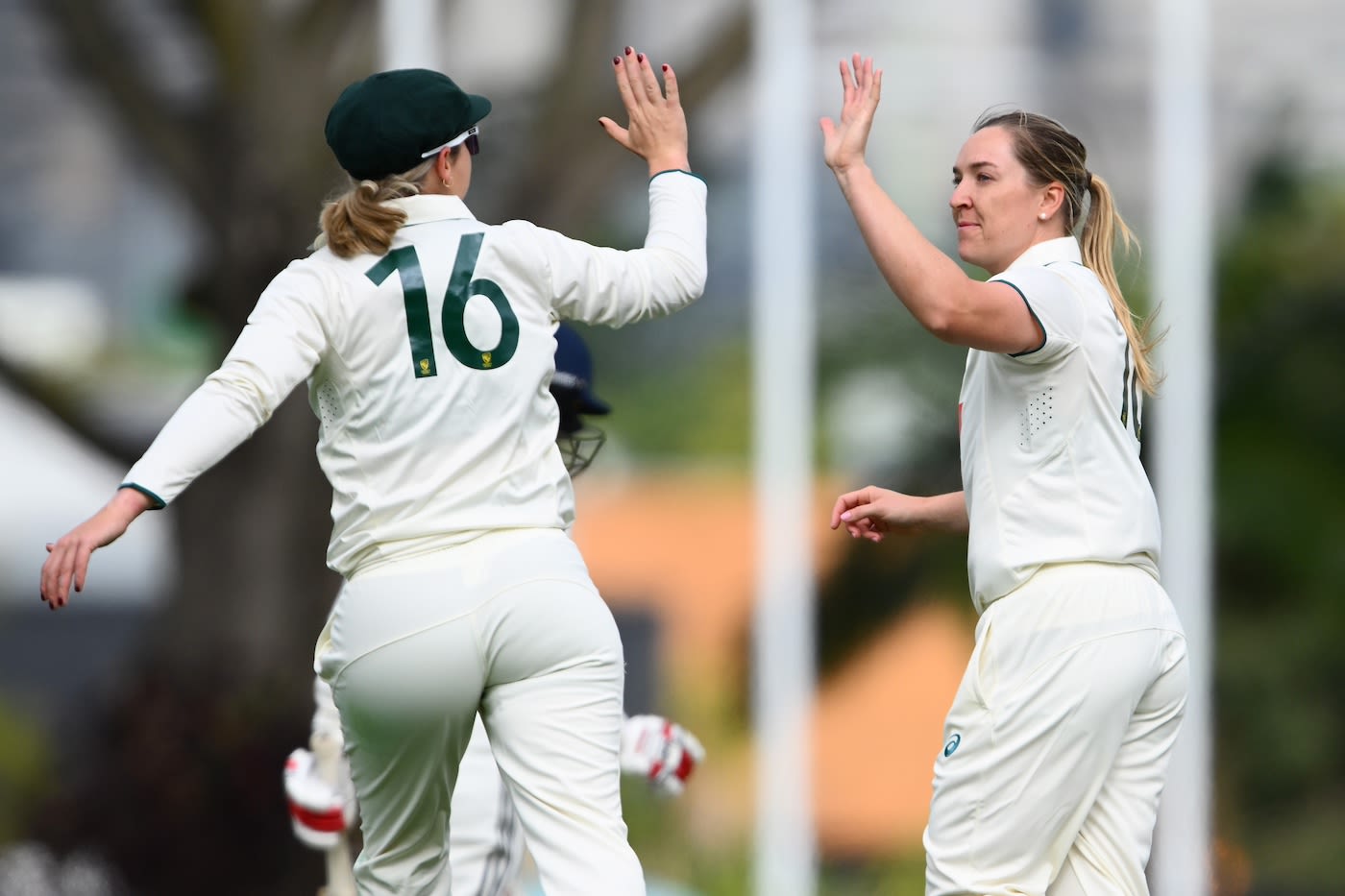 Georgia Prestwidge struck in the second over