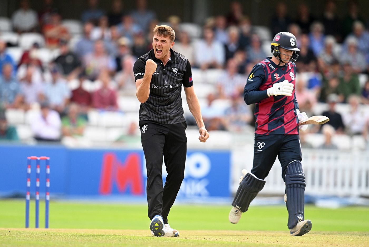 Kasey Aldridge celebrates a wicket