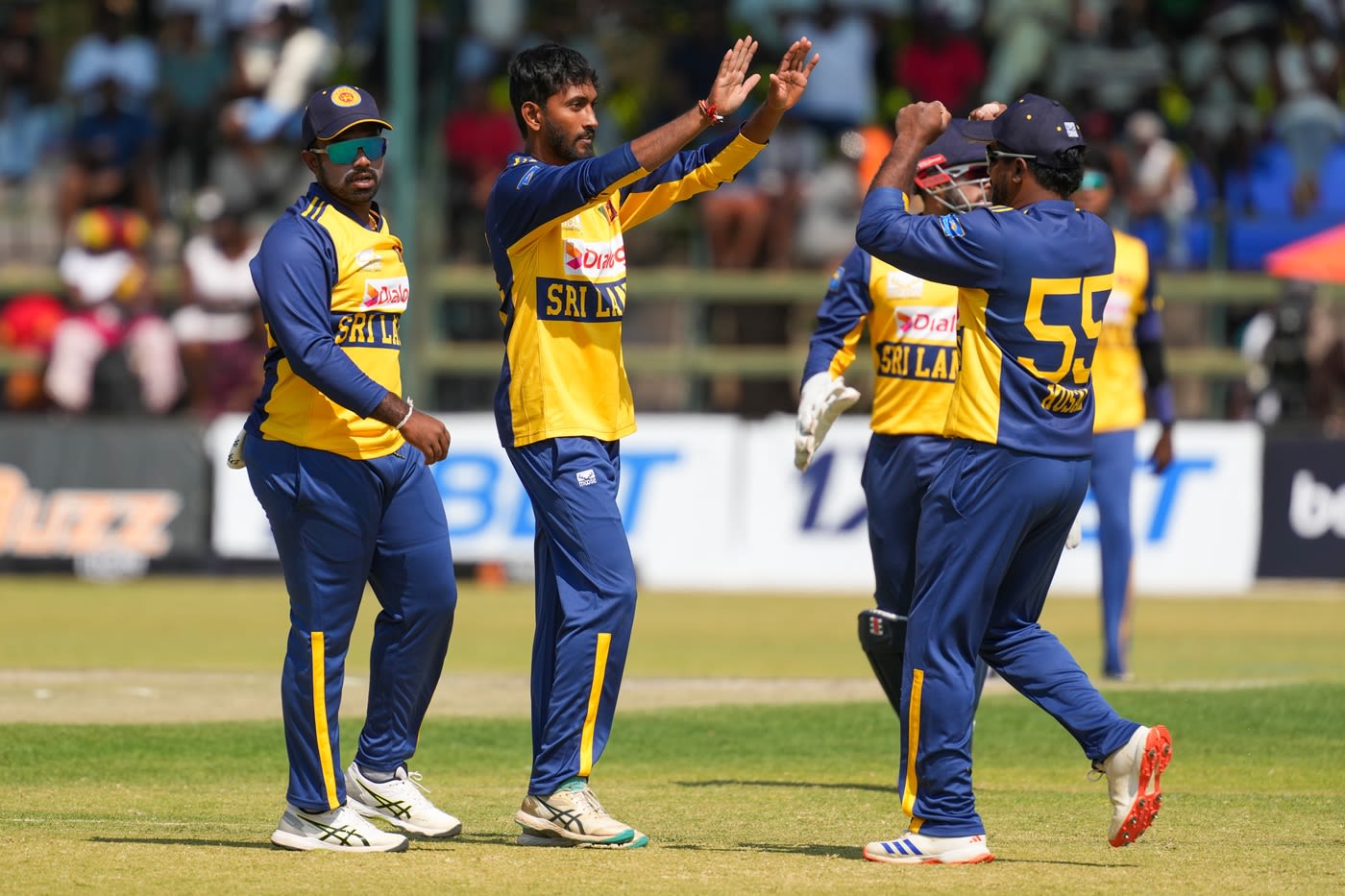 Dushan Hemantha celebrates a wicket