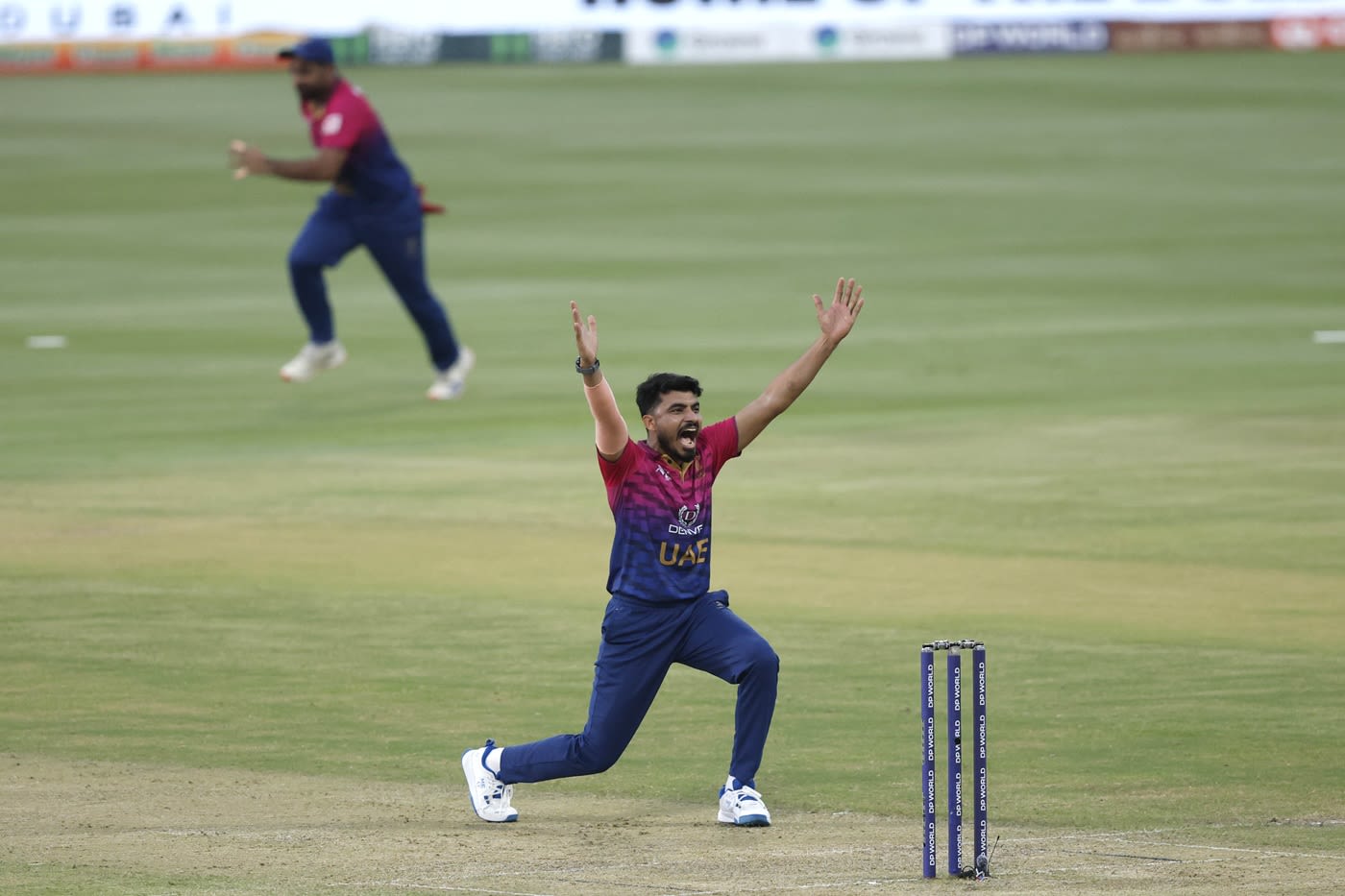 Haider Ali picked up two wickets in his four overs
