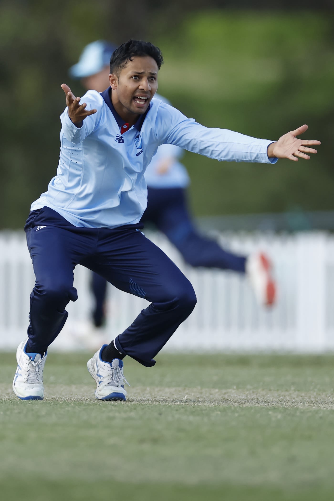 Tanveer Sangha appeals for a wicket