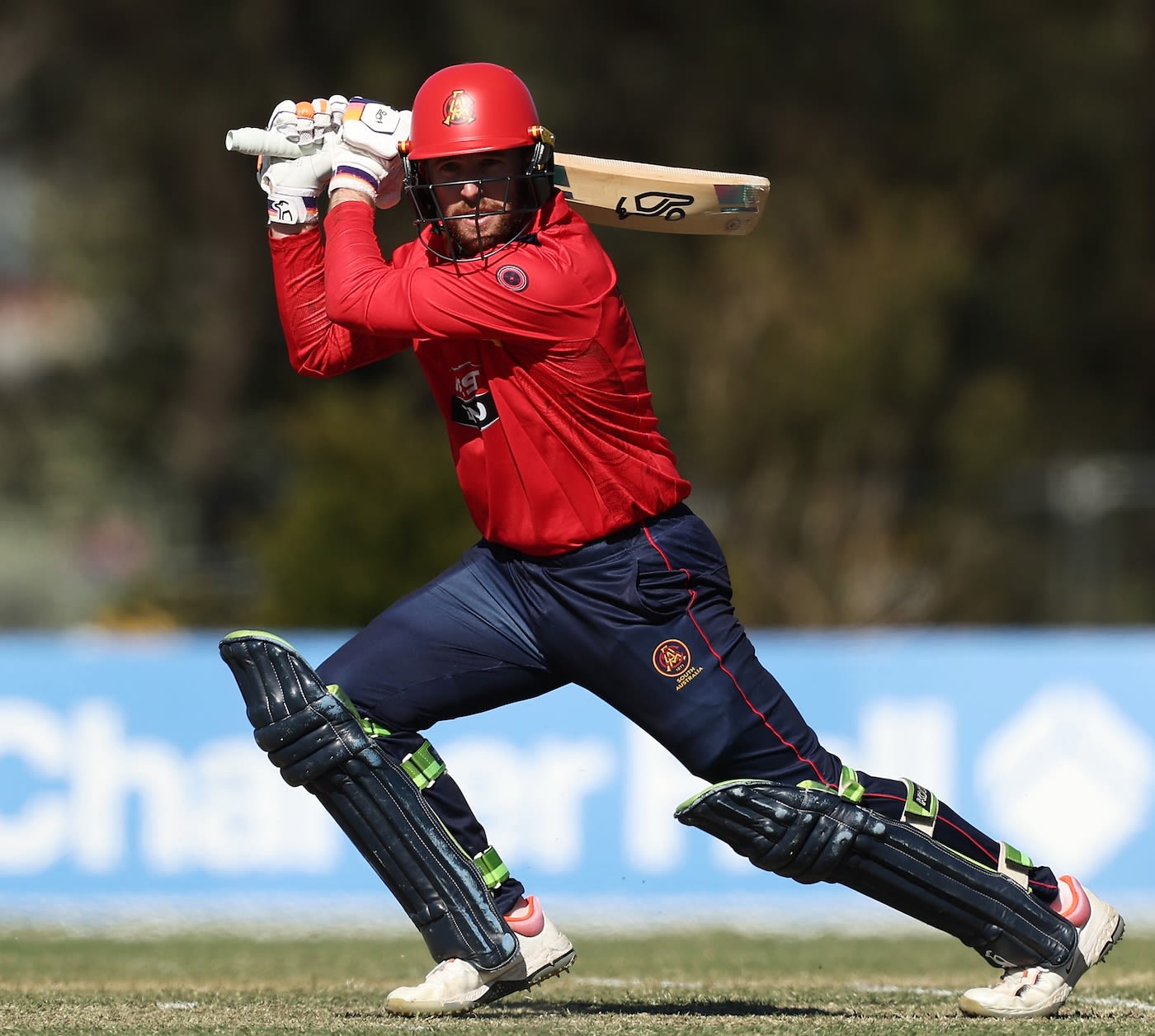 Mackenzie Harvey scored a half-century opening the innings