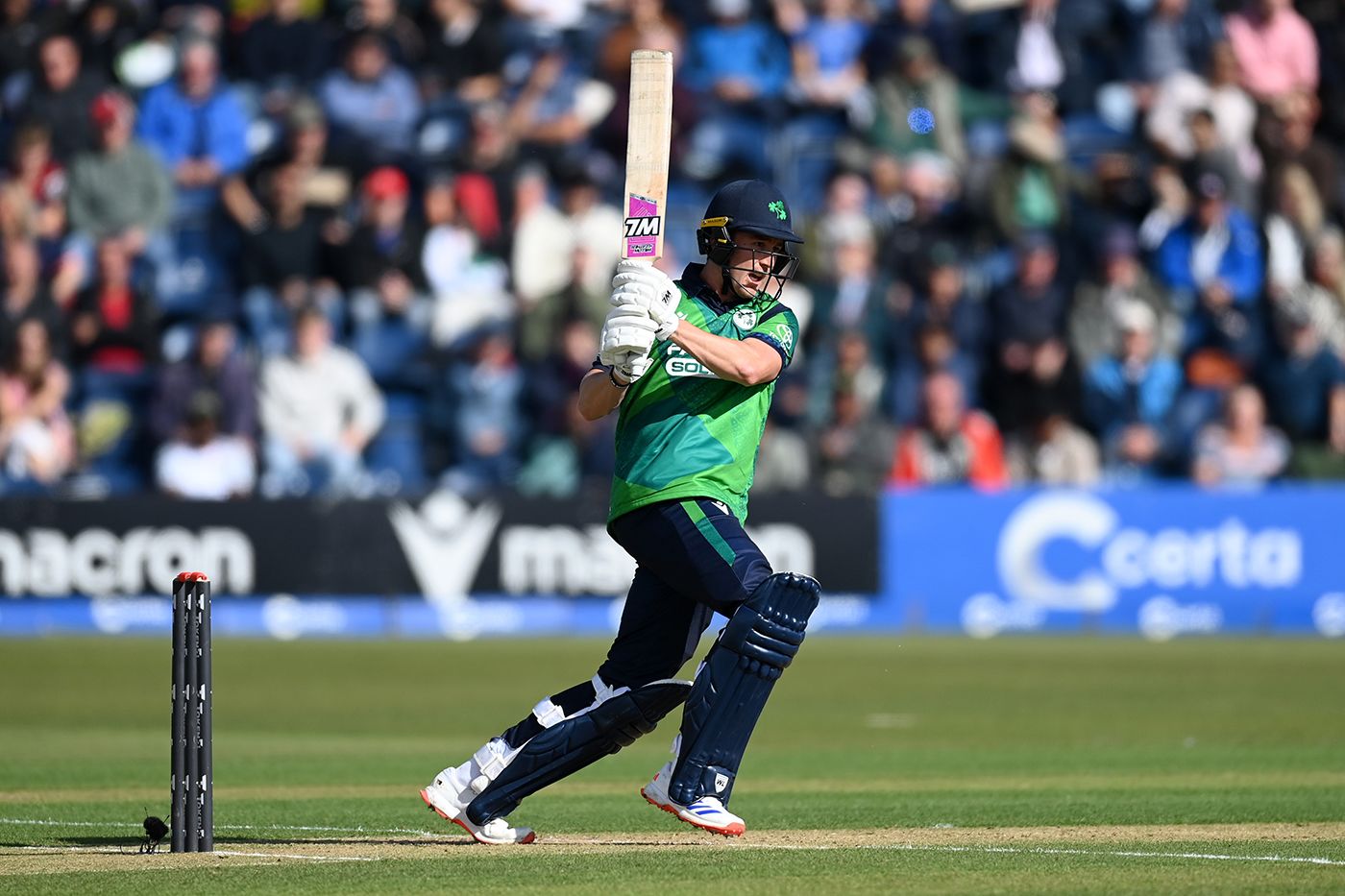 Ben Calitz made 22 off 18 on debut