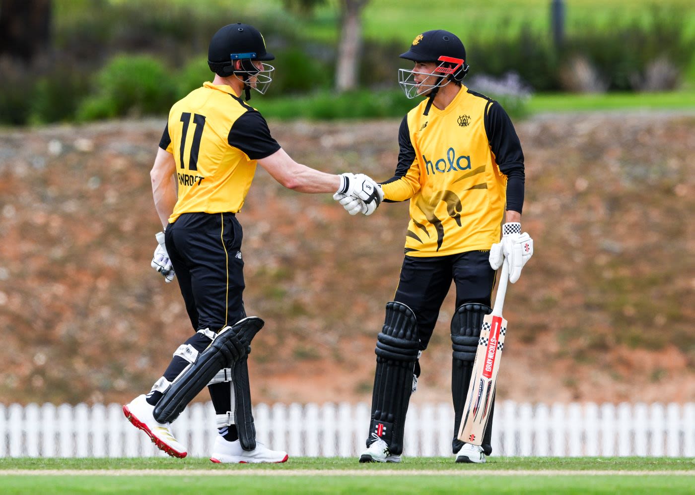 Cameron Bancroft and Sam Fanning posted half-centuries